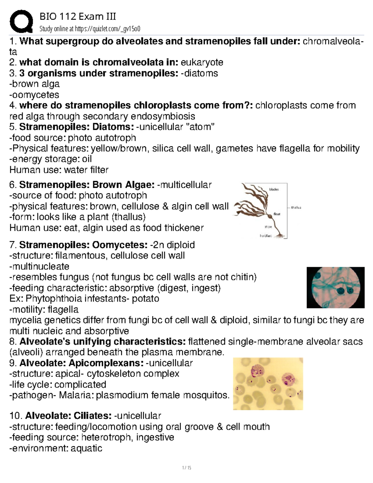 BIO 112 Exam III Study Guide: Plant and Fungi Overview - Study online ...