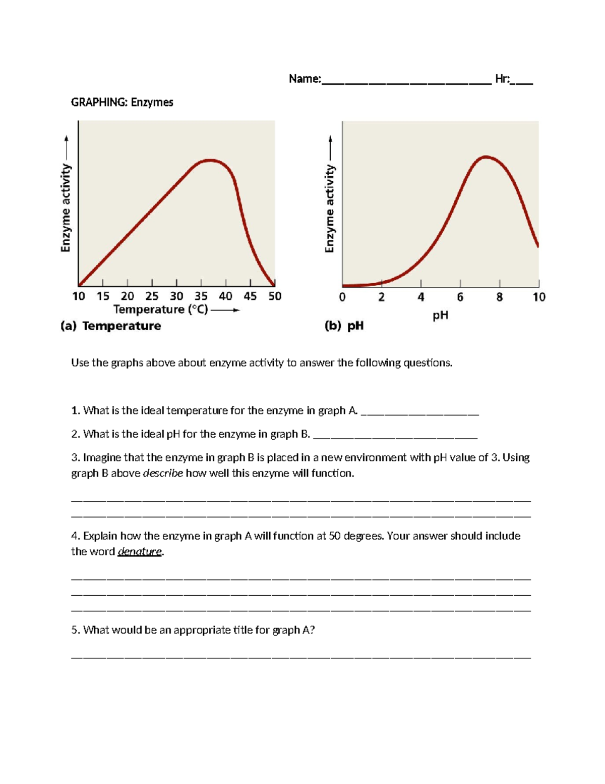 Review of Enzyme Activity Graphs - Graphing Enzymes-1 - Studocu