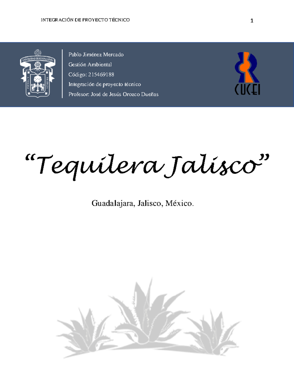 Proyecto Técnico sobre Gestión Ambiental en la Tequilera Jalisco (215469188) - Document Preview