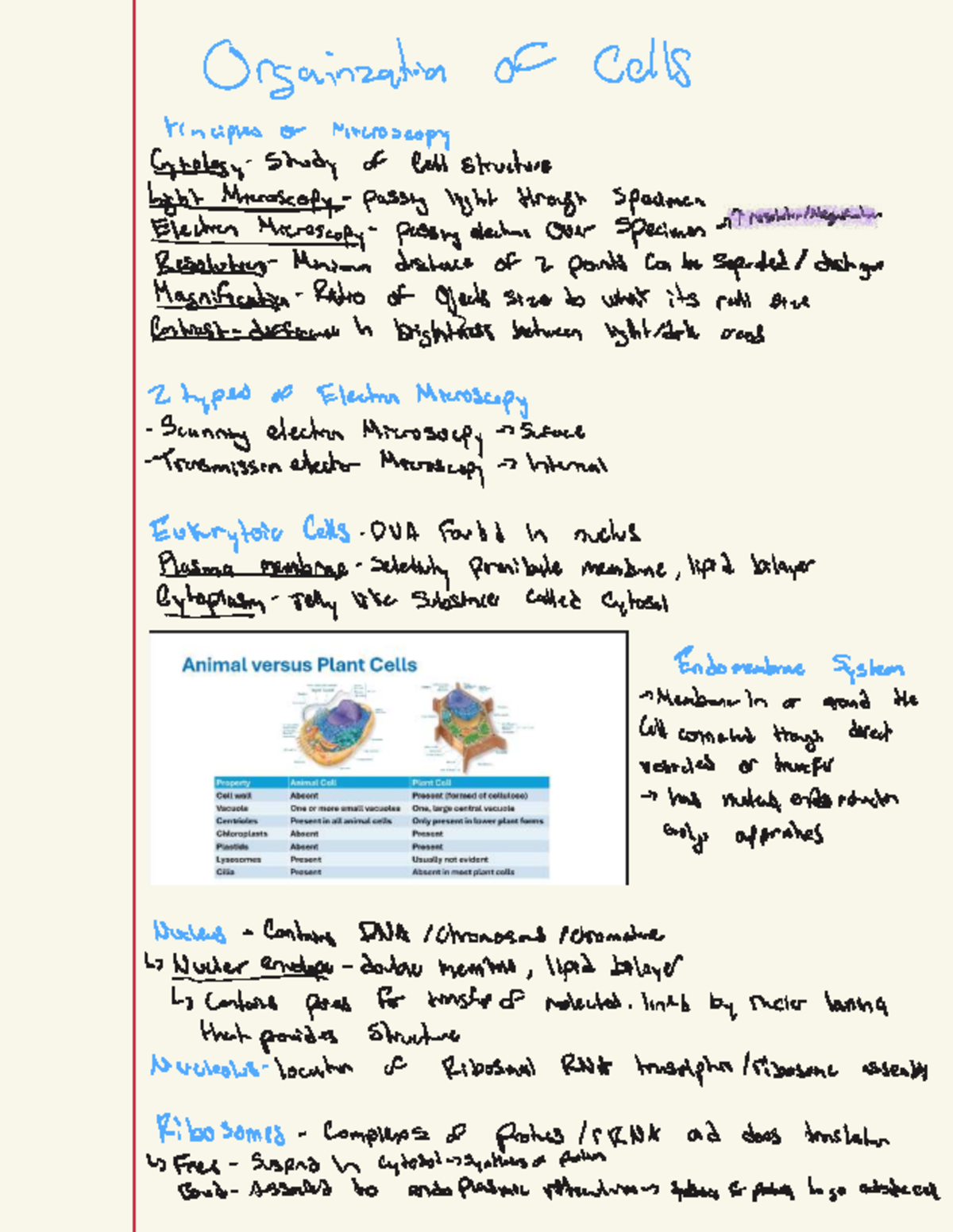 Bio 102 - First Lecture Notes on Cell Structure & Microscopy - Studocu