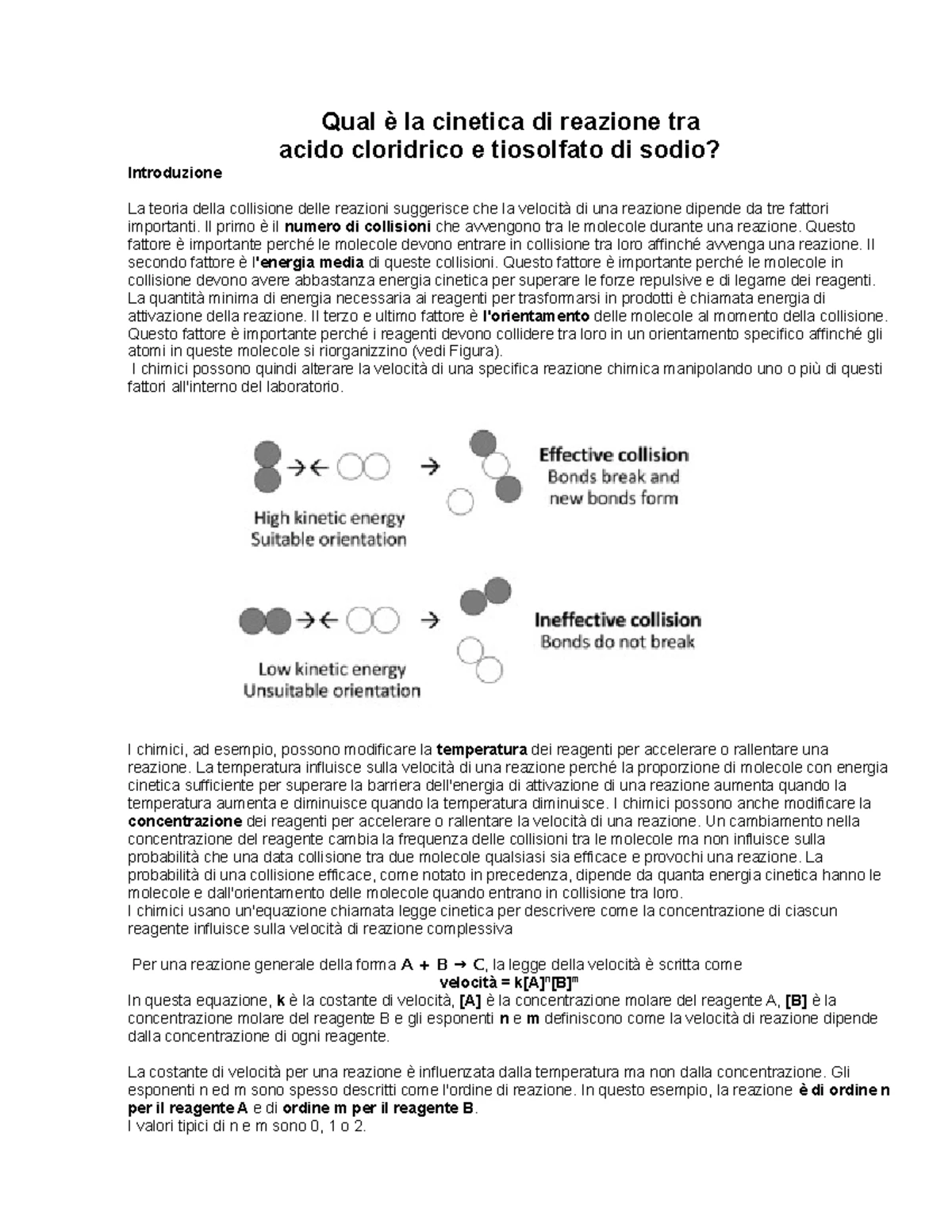 PPT - Ciclo di Calvin PowerPoint Presentation, free download - ID:3760637, image size:1200x1553