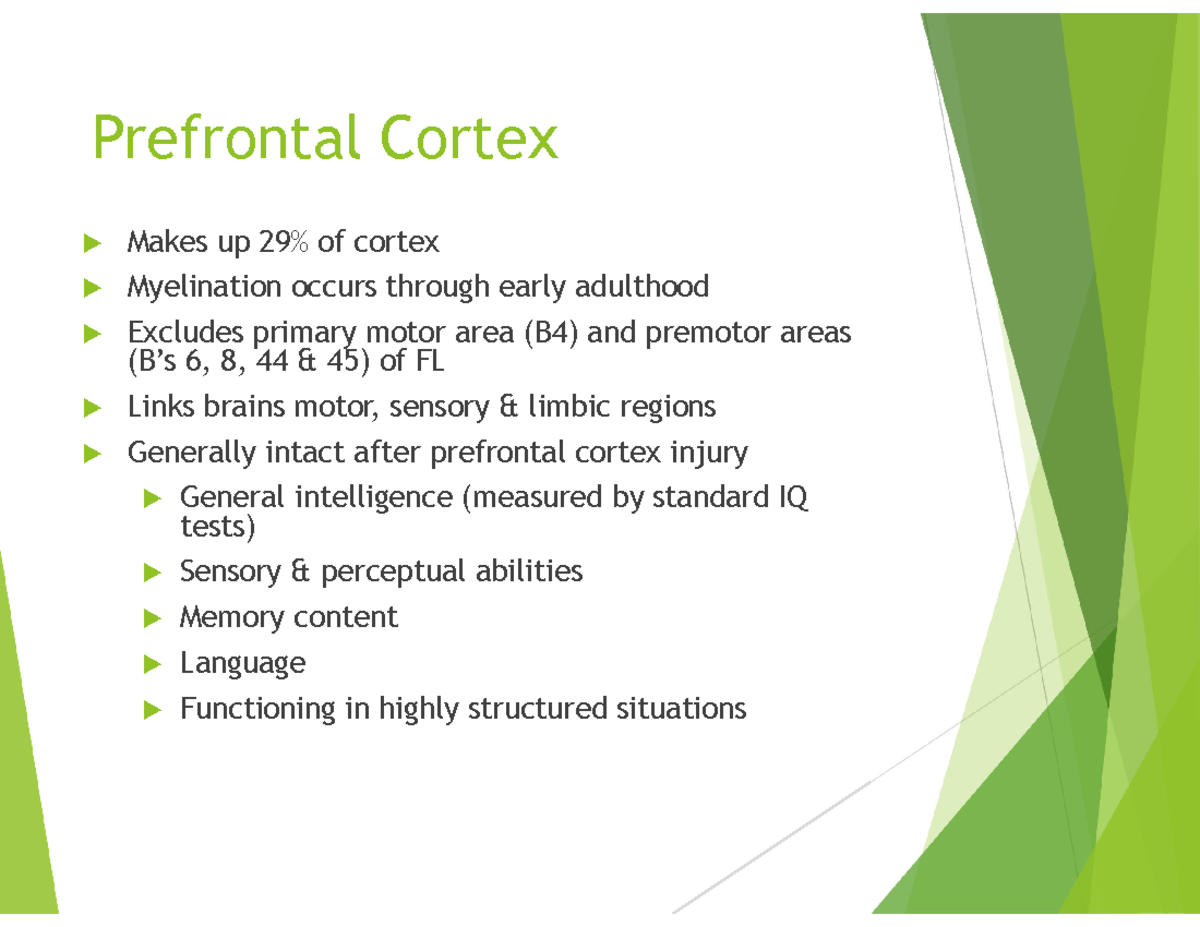 Study Guide: Executive Functioning & Prefrontal Cortex Deficits (PSY ...