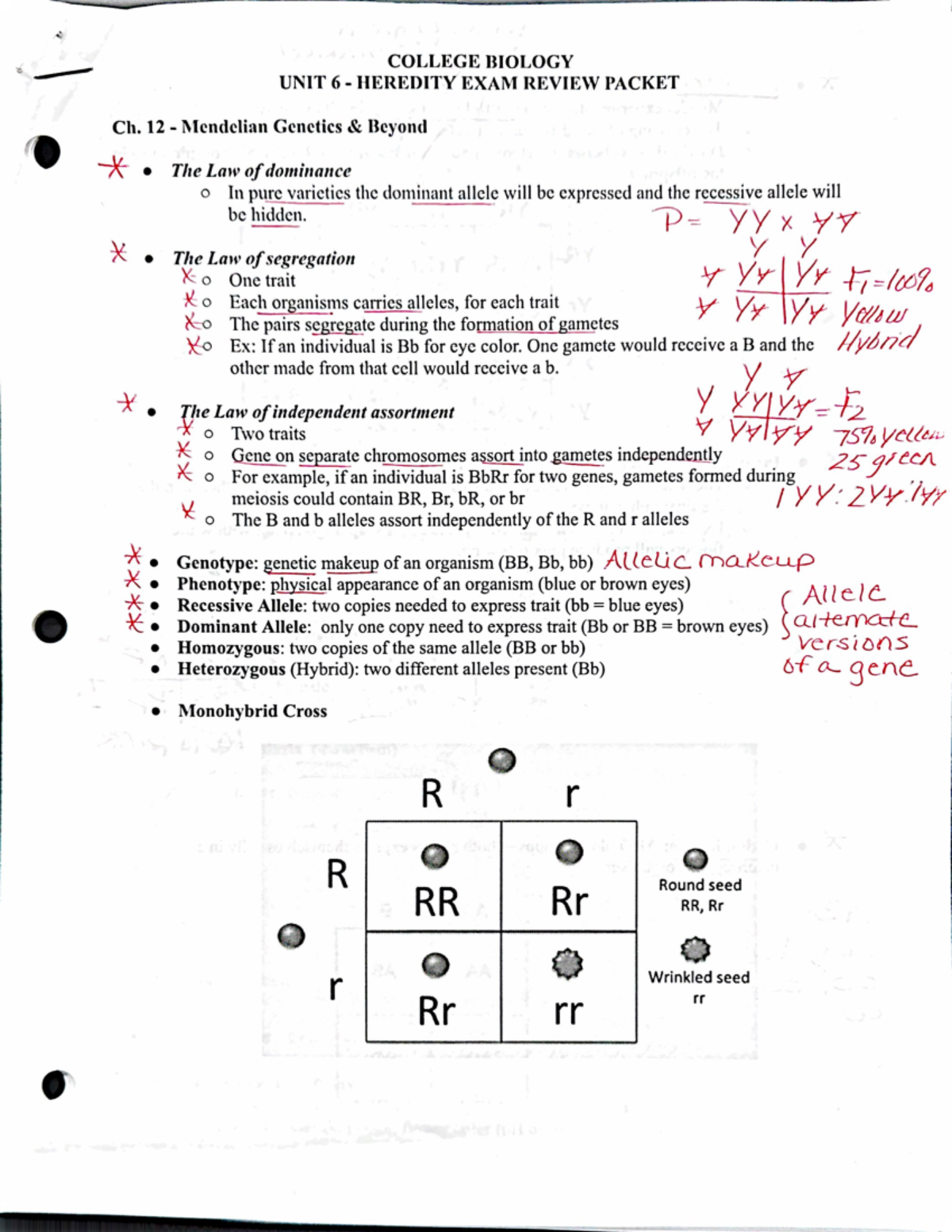 Midterm Study Guide for Course Code XYZ101: Key Concepts and Topics ...