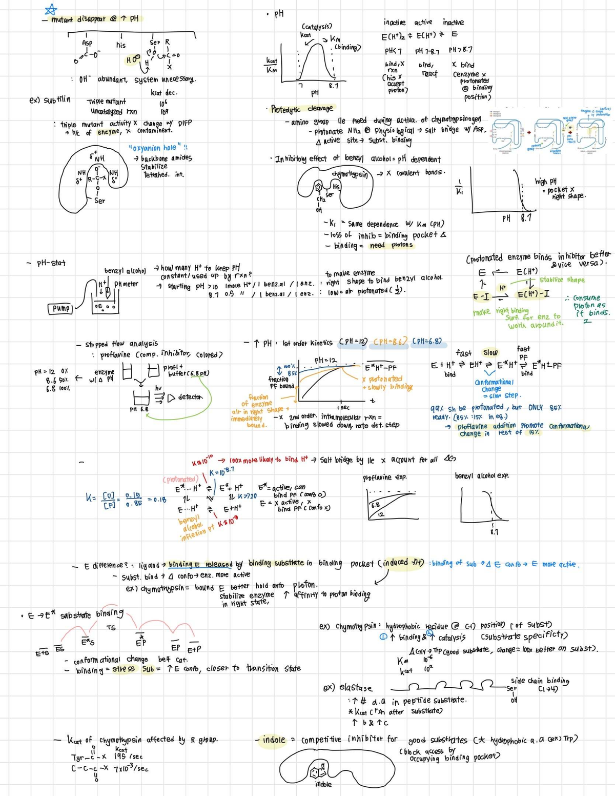 Notes-09 - Notes - A mutant disappear PH pH inactive active inactive ...