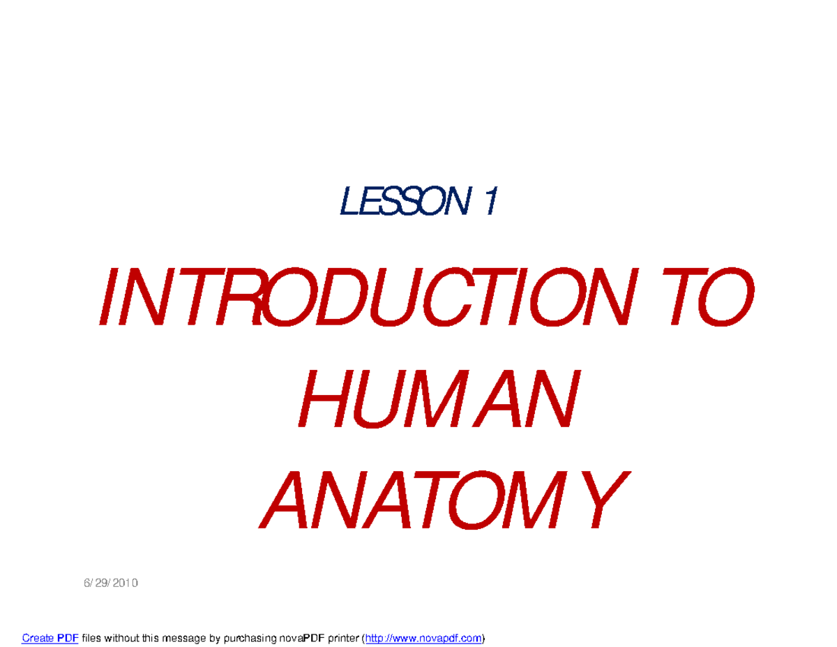 Lesson 1: Intro to Human Anatomy and Body Organization - Studocu