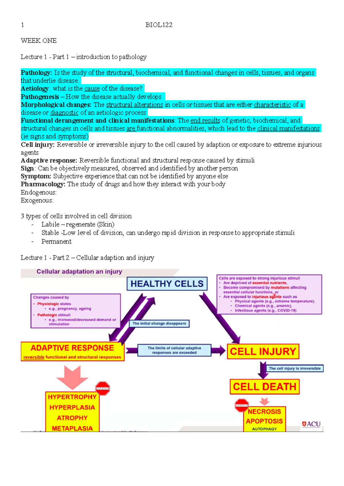 Biology BIOL Week 1 & 2 Lecture Notes: Pathology & Inflammation ...