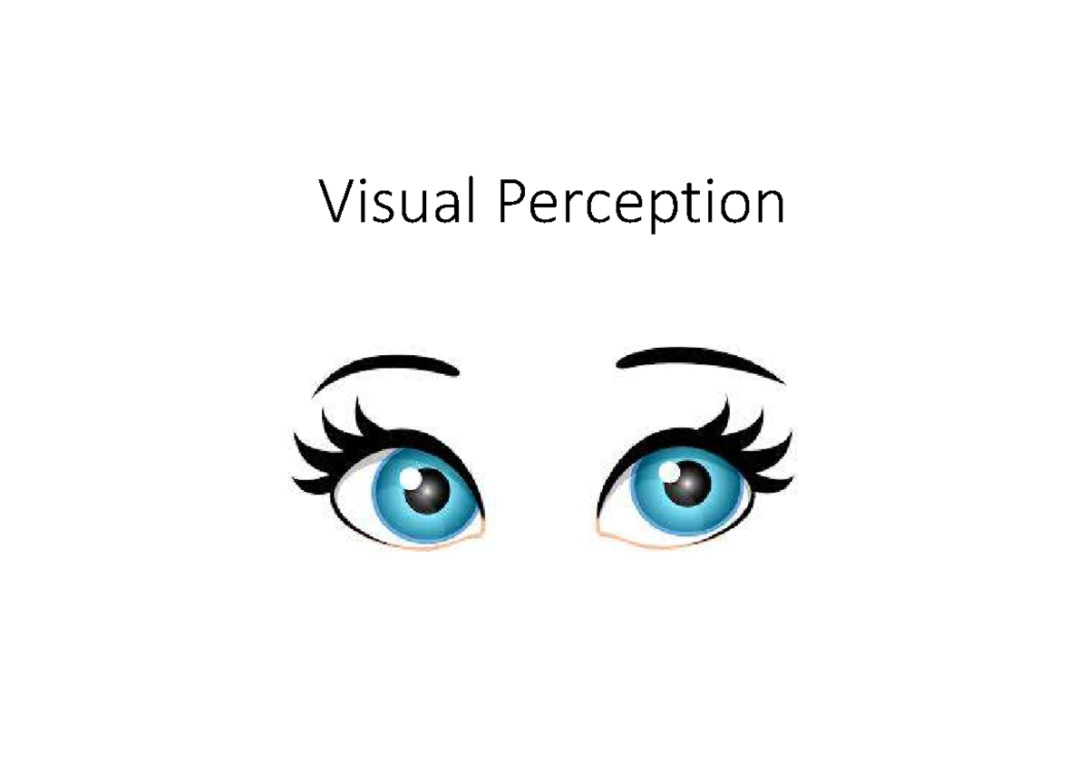 Lecture Notes on Visual Perception and the Visual System - Studocu