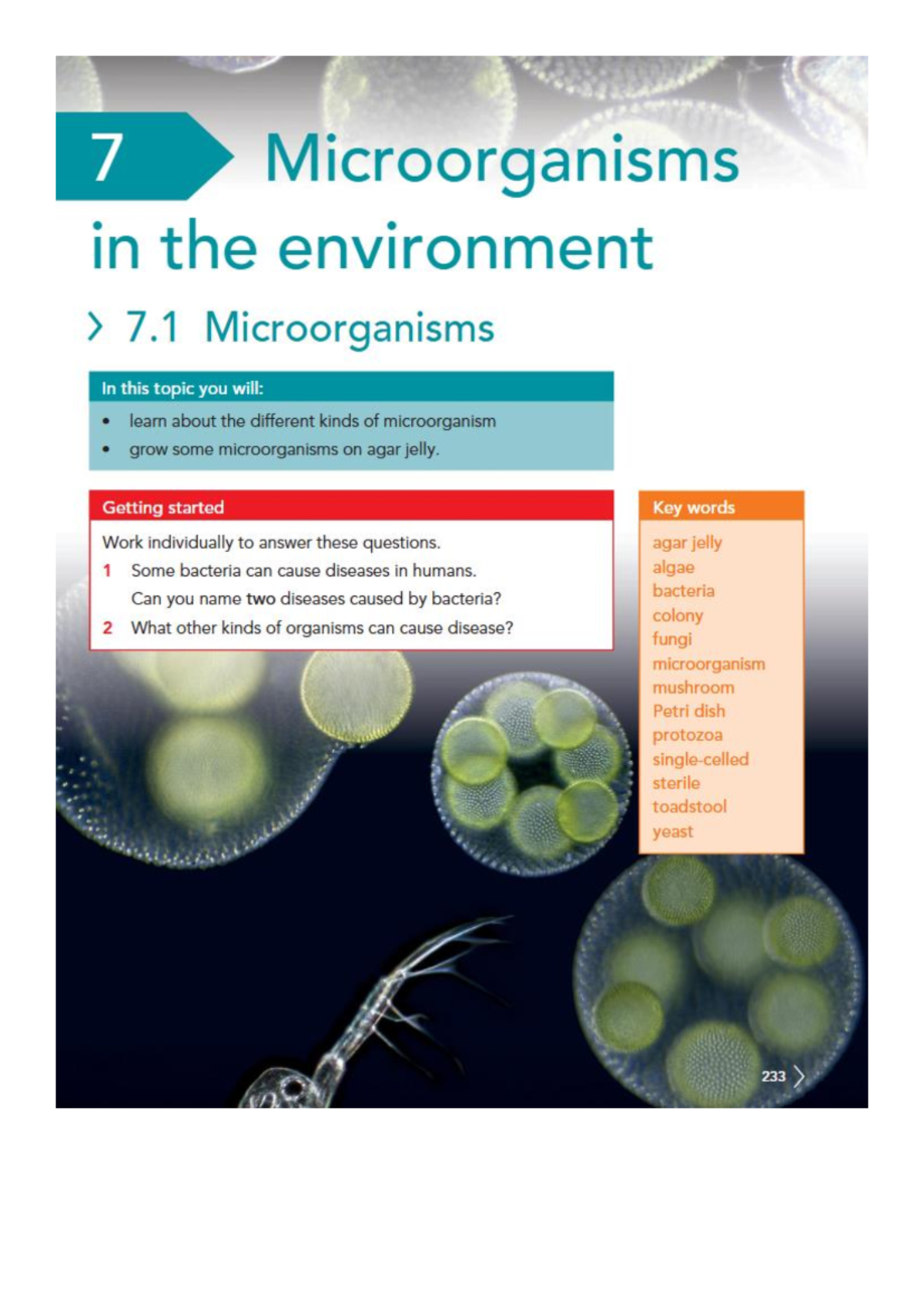 Unit 7: Microorganisms in the Environment - Comprehensive Study Guide ...