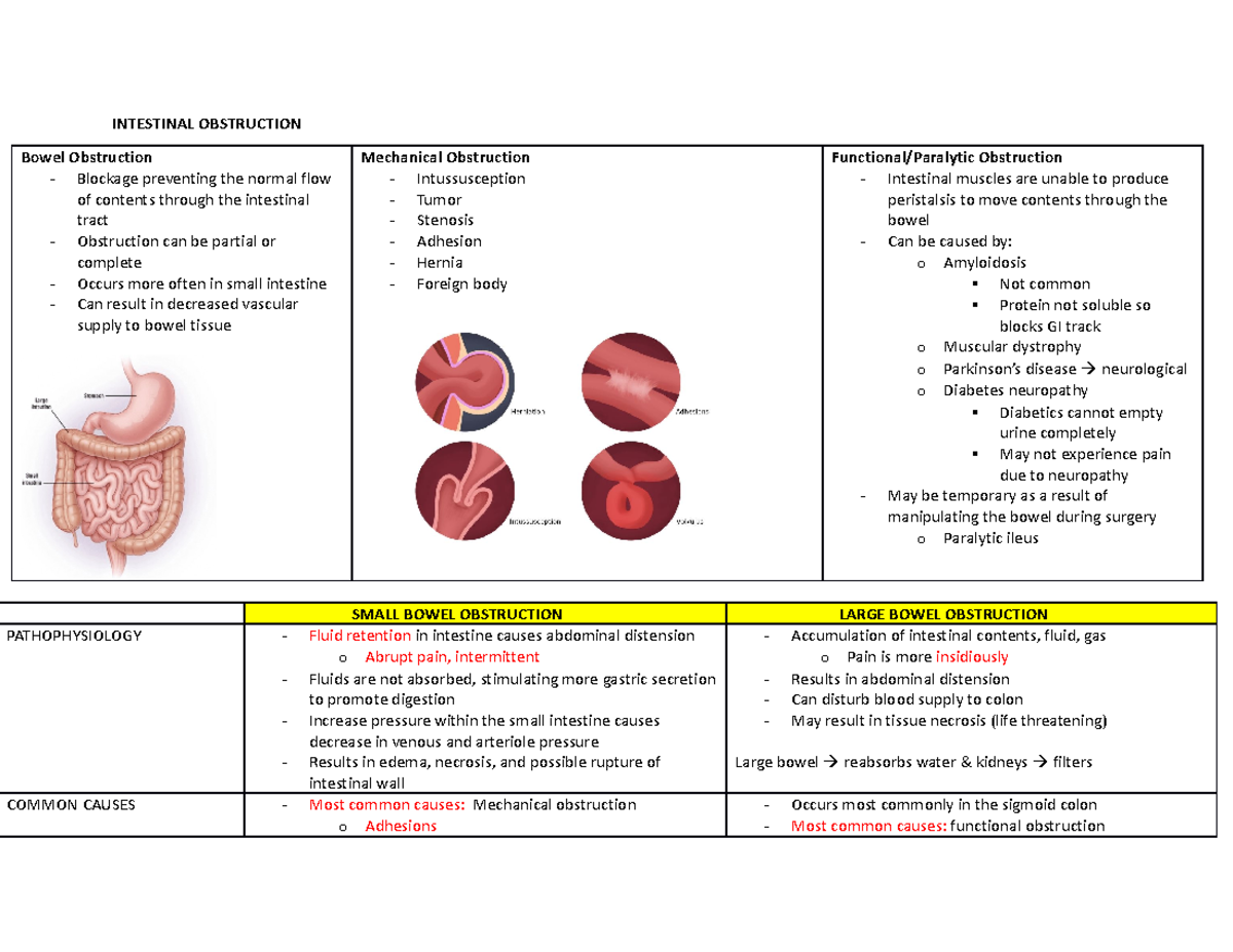 3. Bowel Obstruction: Pathophysiology and Clinical Manifestations - Studocu