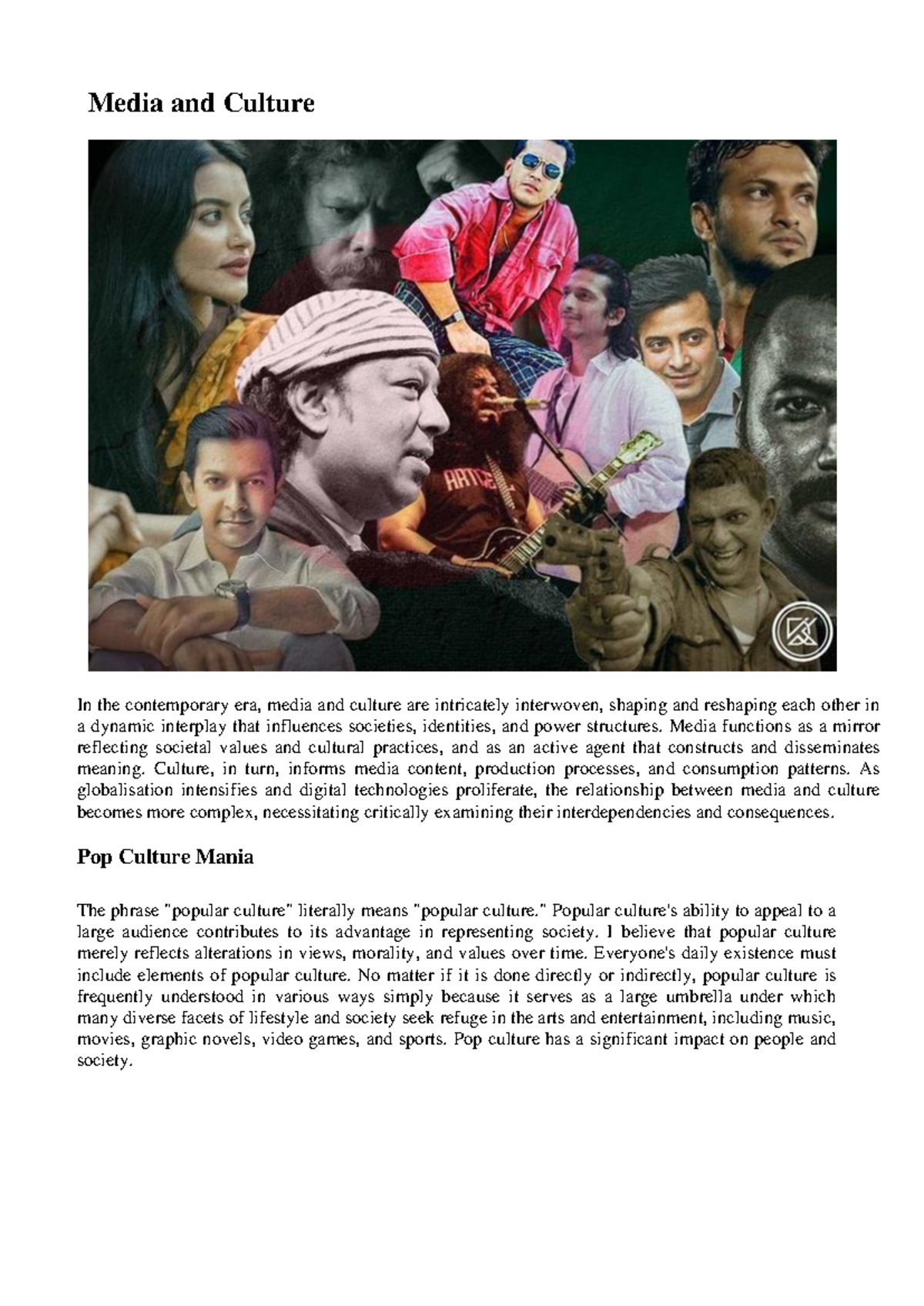 TNM201 - Media and Culture: The Interplay of Society and Pop Culture ...