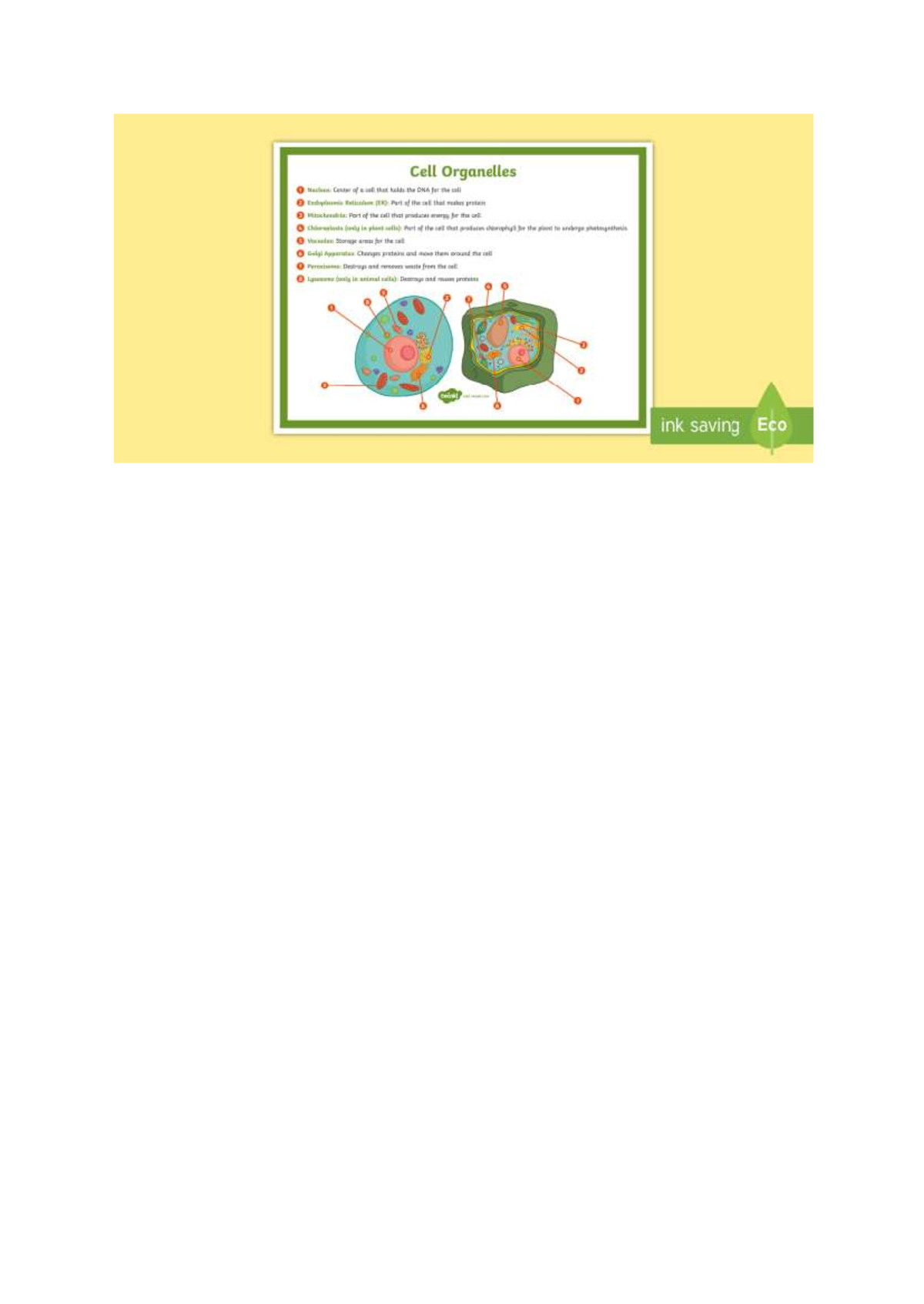 无标题文档 - Microscope: labelling parts on a microscope. Cells: Cell theory ...