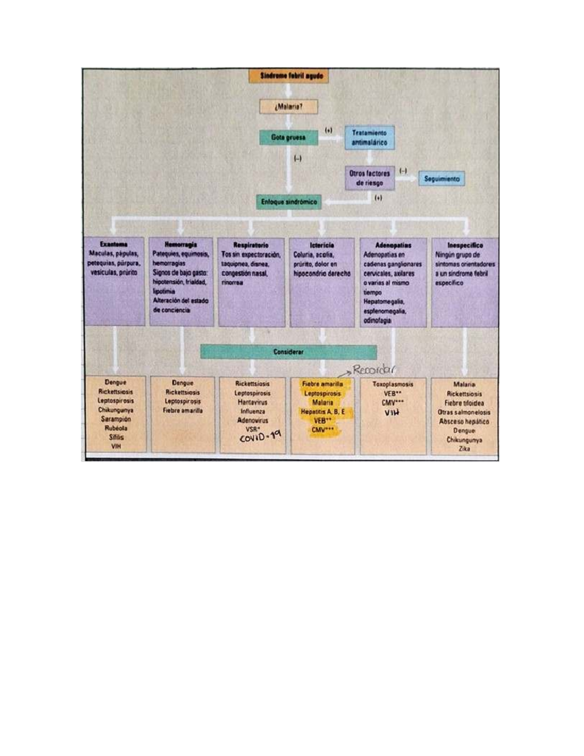 Tratamiento y Seguimiento de Síndromes Febriles - Med Interna - Studocu