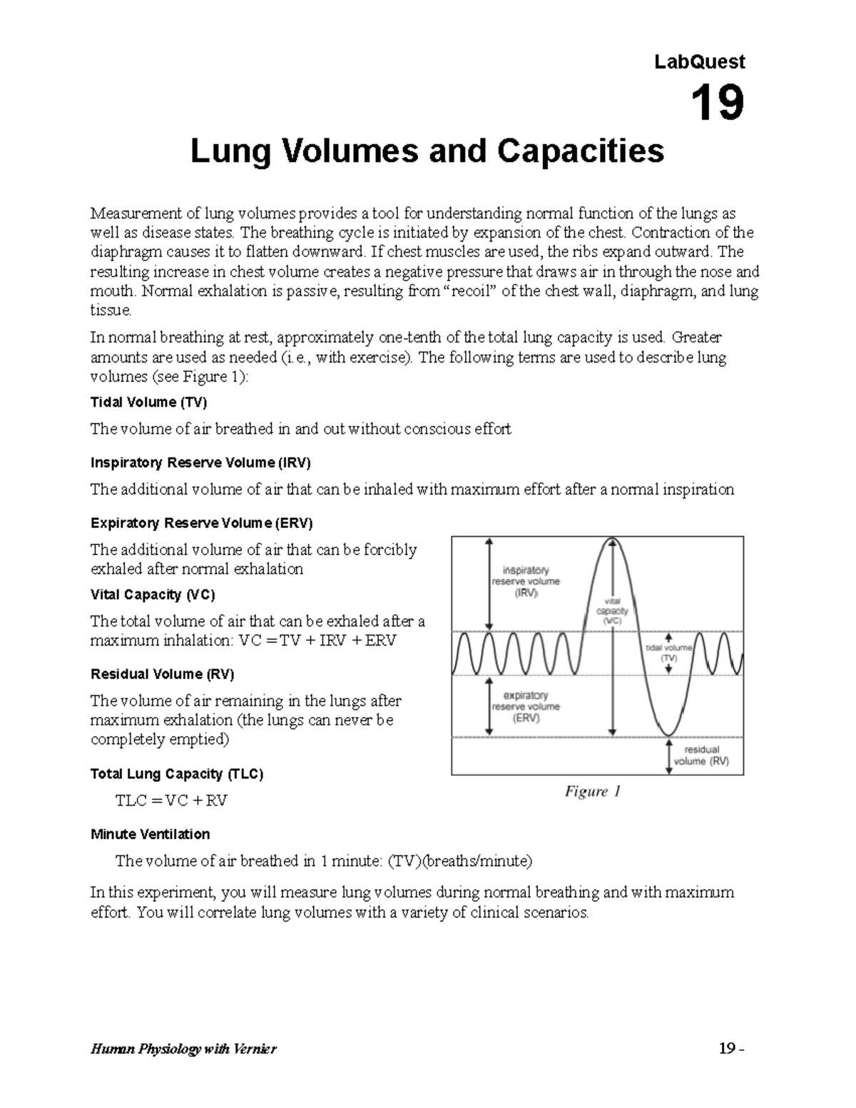 LQ 19 - Laboratory Analysis of Lung Volumes and Capacities - Studocu