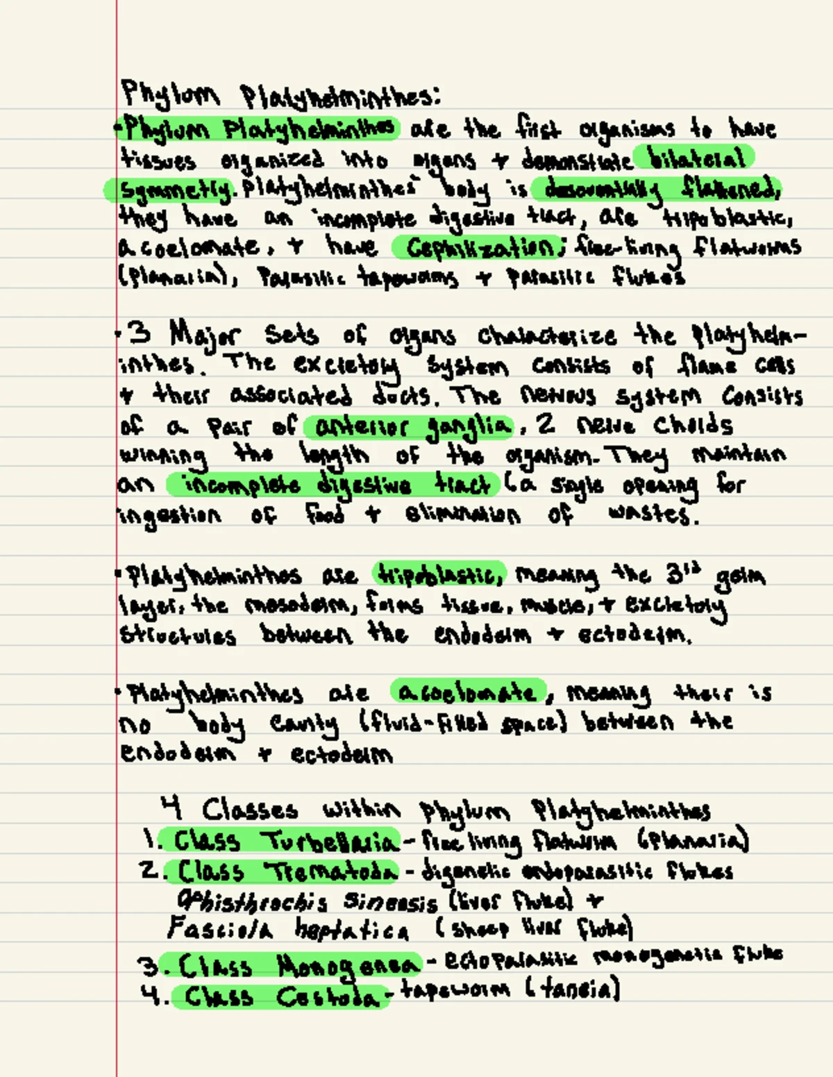 Phylum Chordata - Phylum Chordata : All organisms in phylum Choi data ...