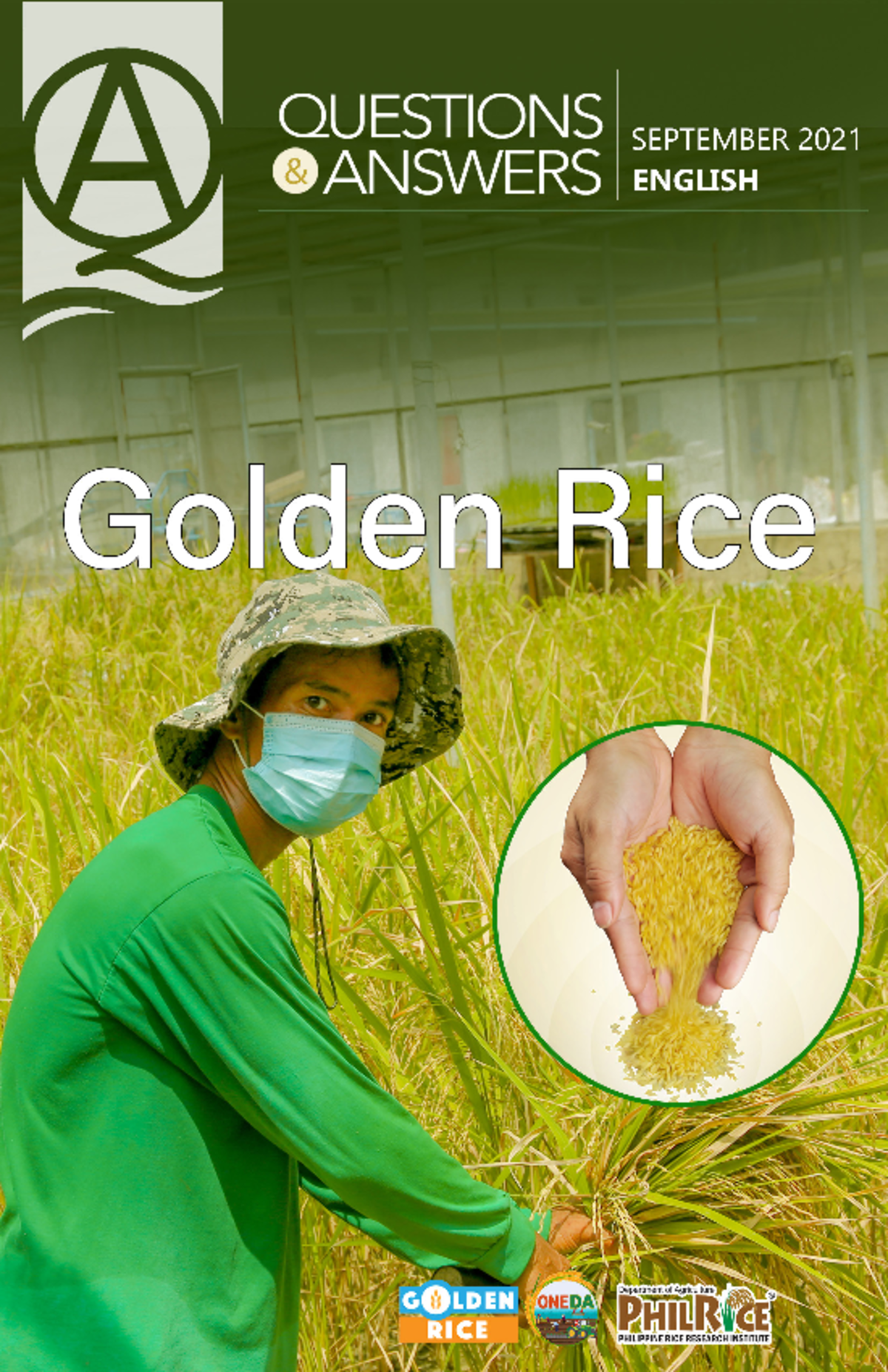 Golden-Rice-FAQs - Research - I. About Golden Rice What is Golden Rice ...
