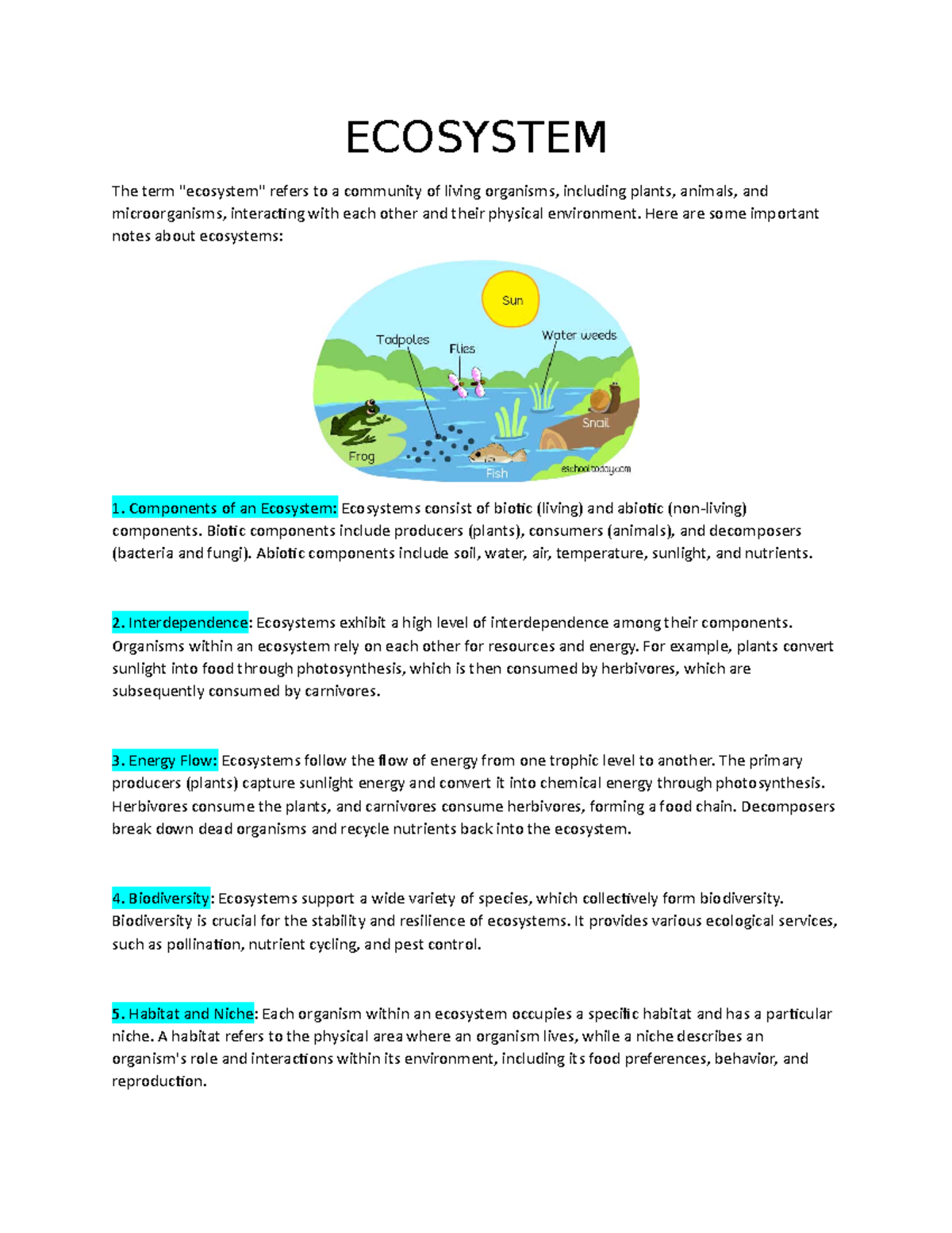 Ecosystem Overview: Understanding Components, Interdependence & More -  Studocu