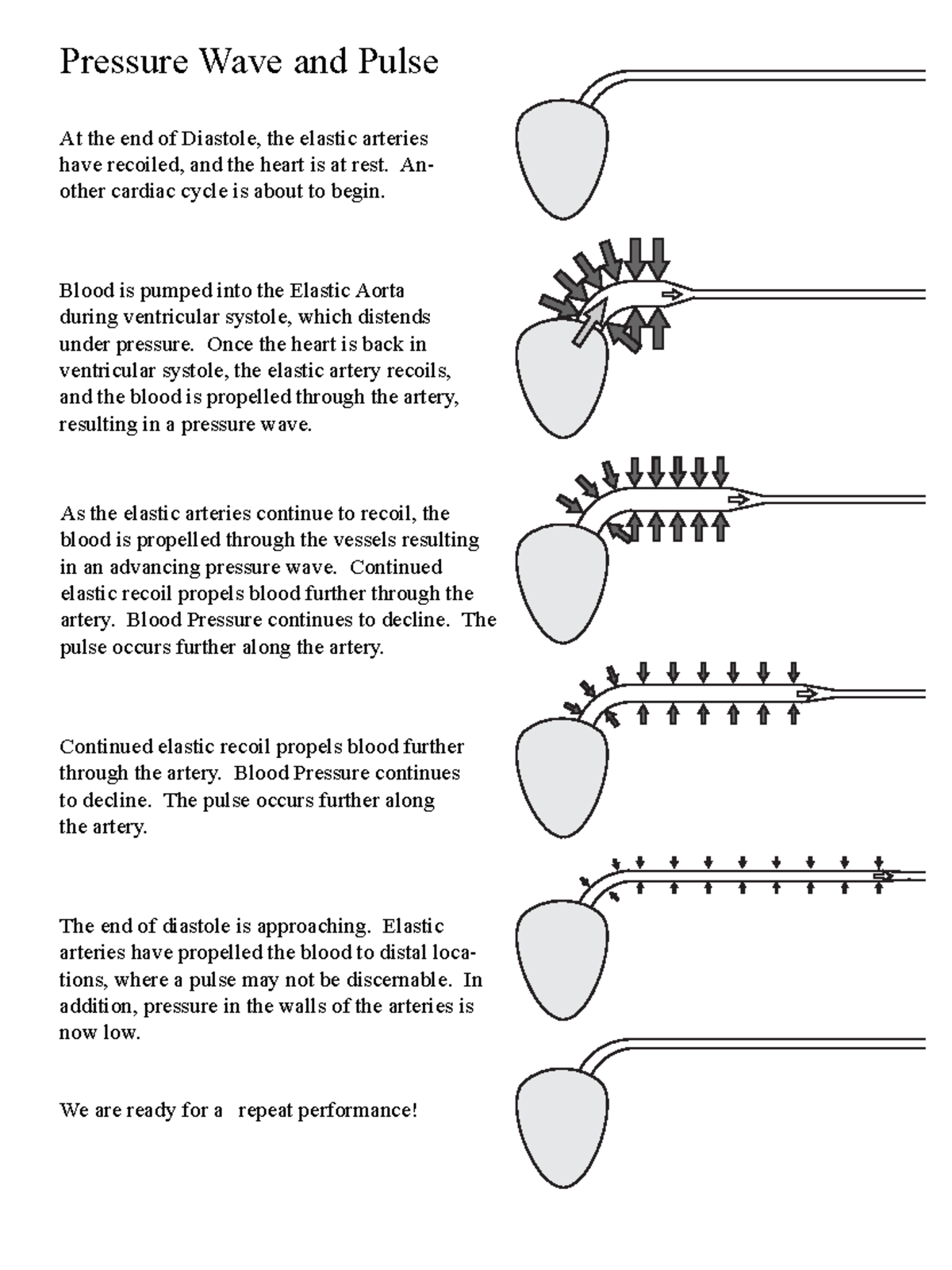 Understanding Pressure Waves and Pulses in the Cardiovascular System ...