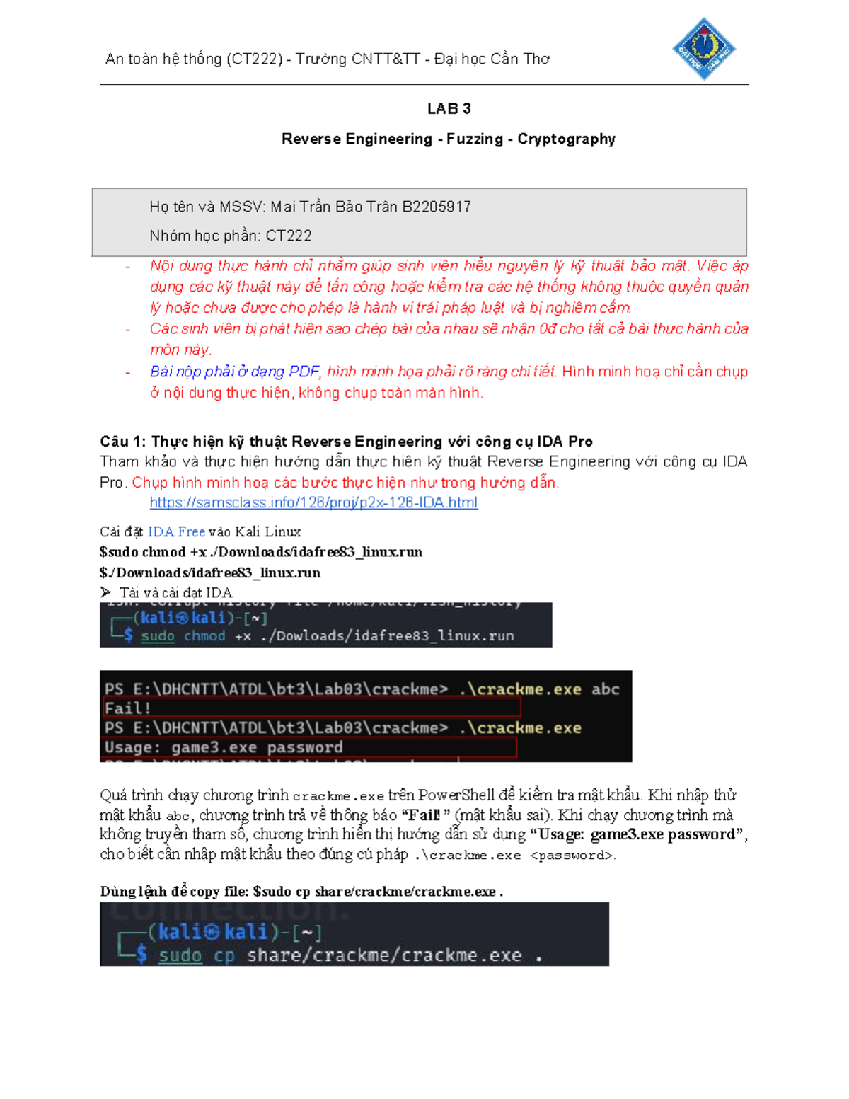 B2205917 ATHT Lab 3: Reverse Engineering & Fuzzing Techniques - Studocu
