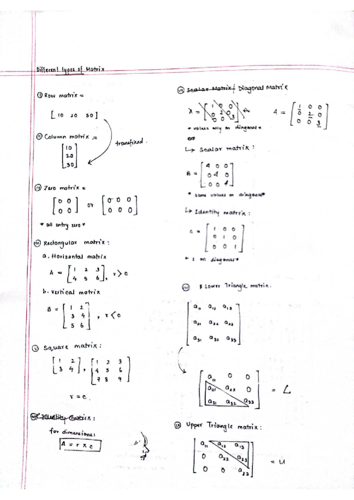 Mat216 Lecture Notes: Types of Matrices and Linear Equations - Studocu