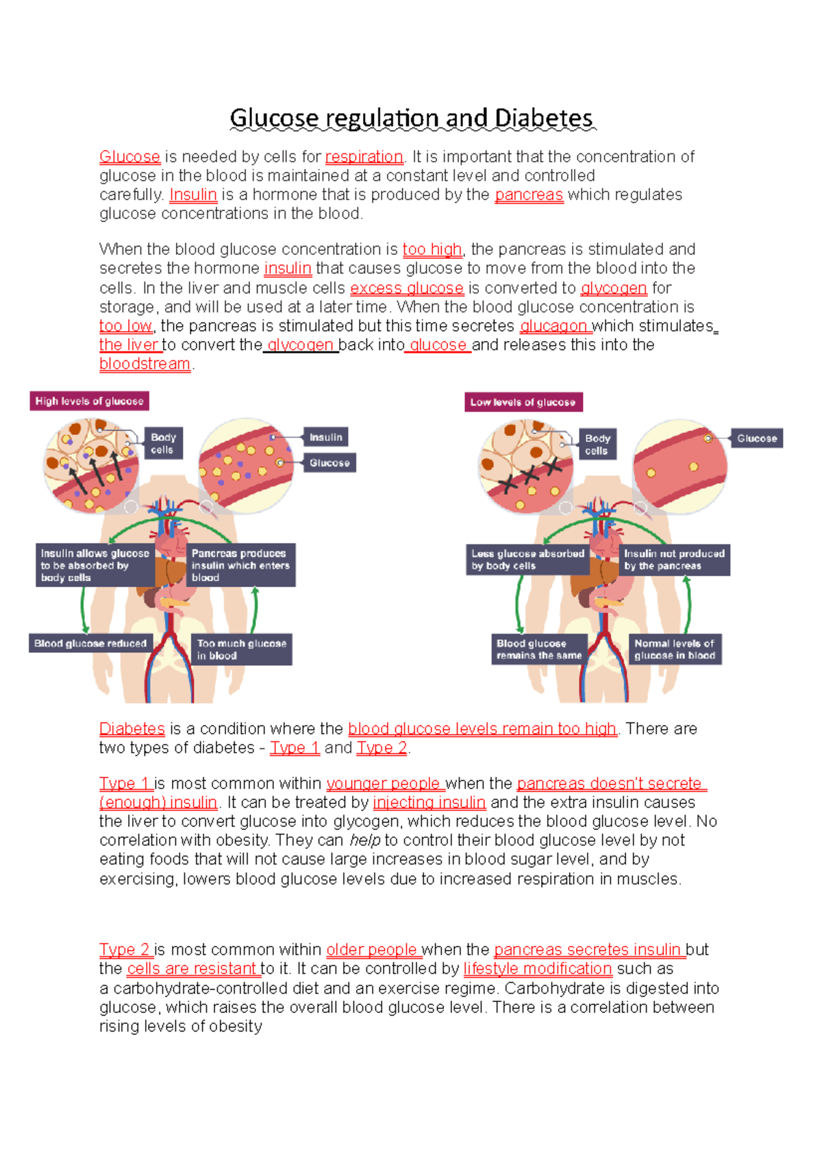 Glucose regulation and Diabetes   Glucose regulation and Diabetes ...