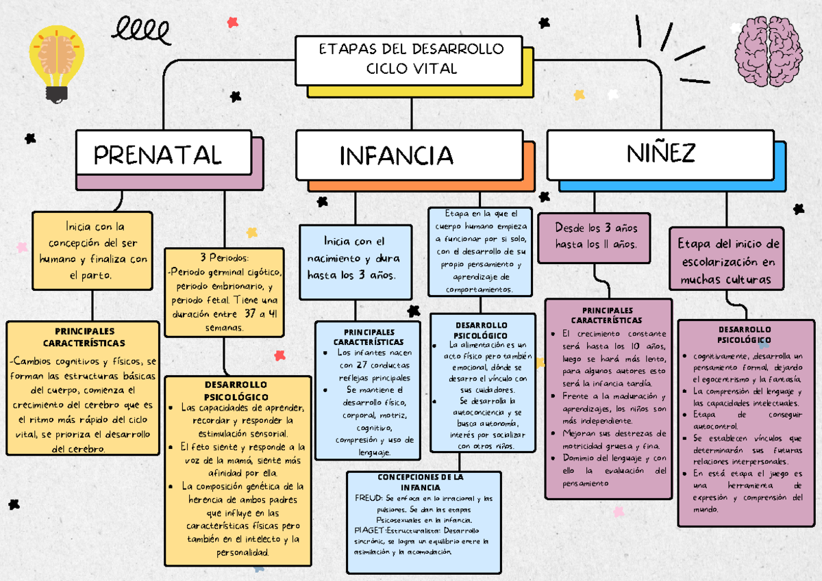 Organizador Gráfico: Etapas del Desarrollo y Teorías de la Personalidad ...