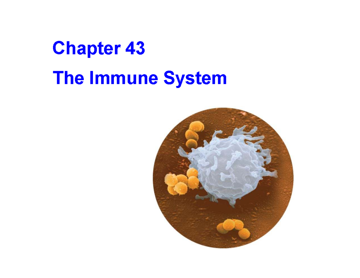 Chapter 43: The Immune System - Key Concepts & Mechanisms - Studocu