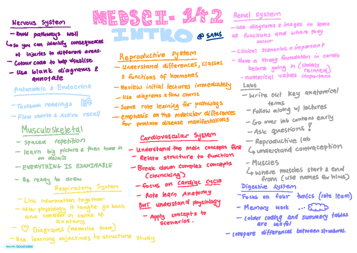 Medsci Intro SAMS - Essential Study Tips for Anatomy & Physiology - Studocu