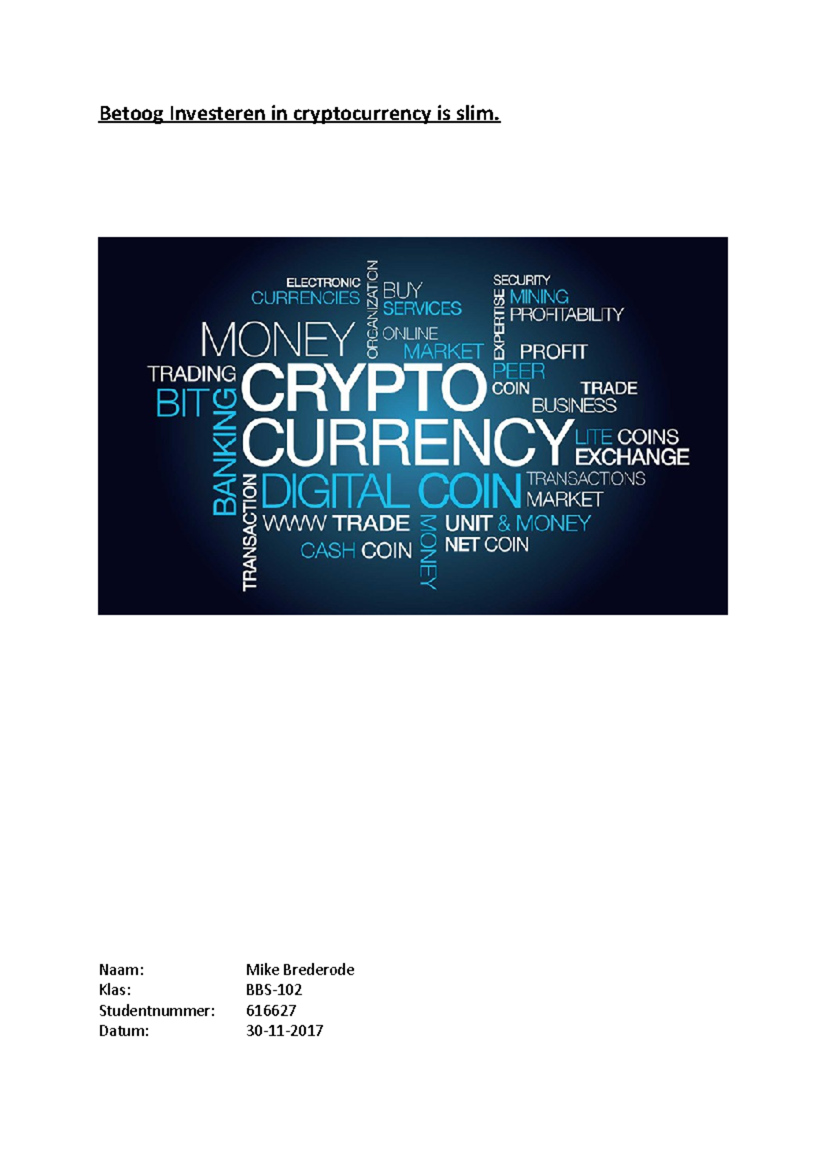 Betoog: Investeren in Cryptocurrencies, Slim of Riskant? (BBS) - Studeersnel