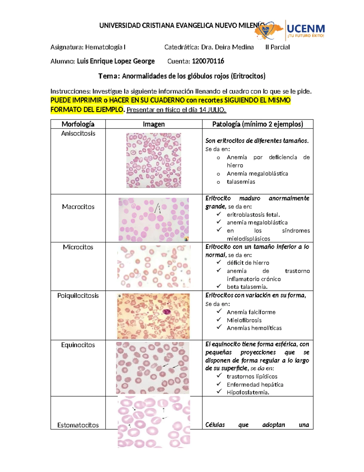 Atlas de Coloraciones en Hematología II - Giemsa y Más - Studocu