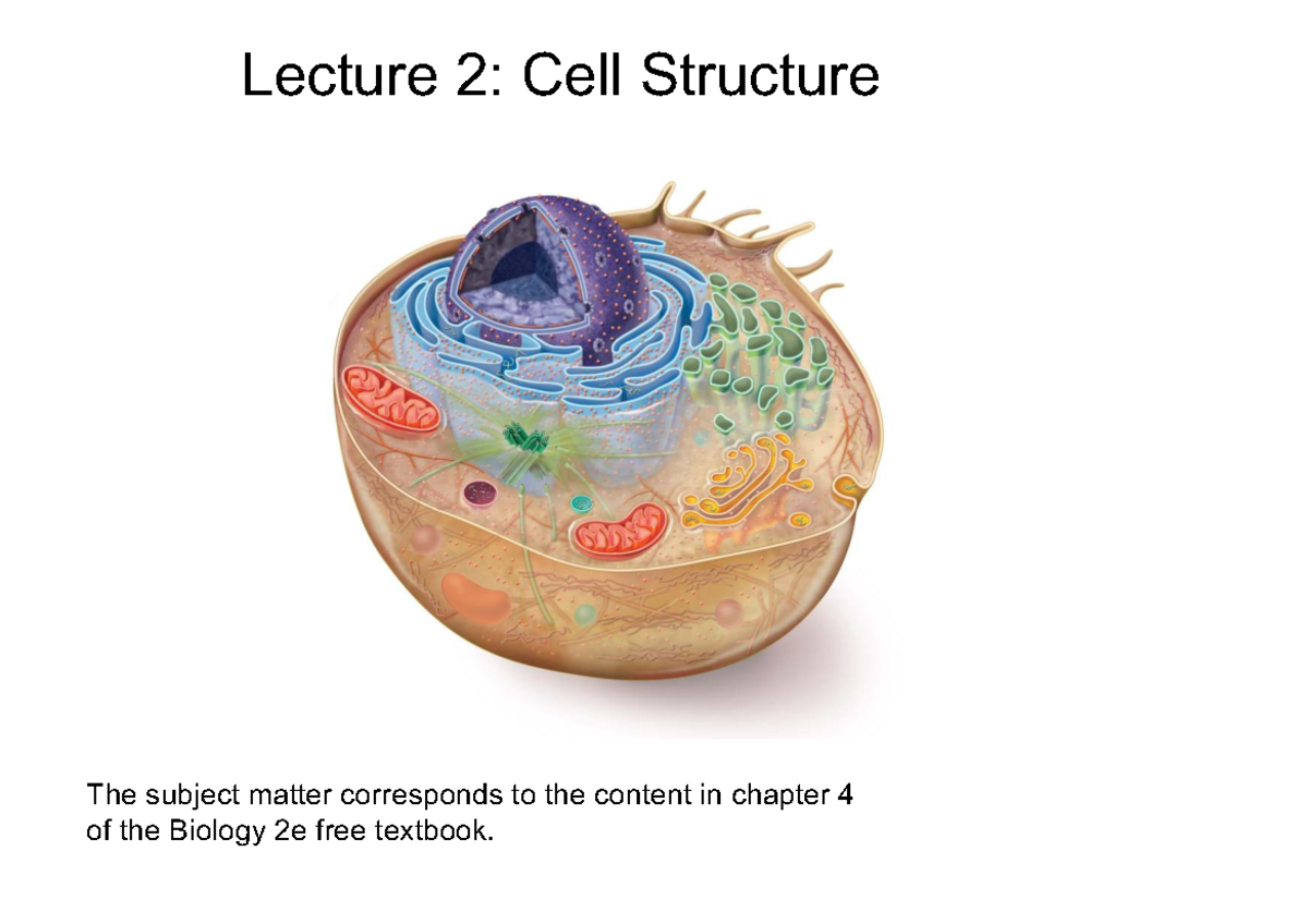 Lecture 2: Cell Structure - Biology 2e - Studocu