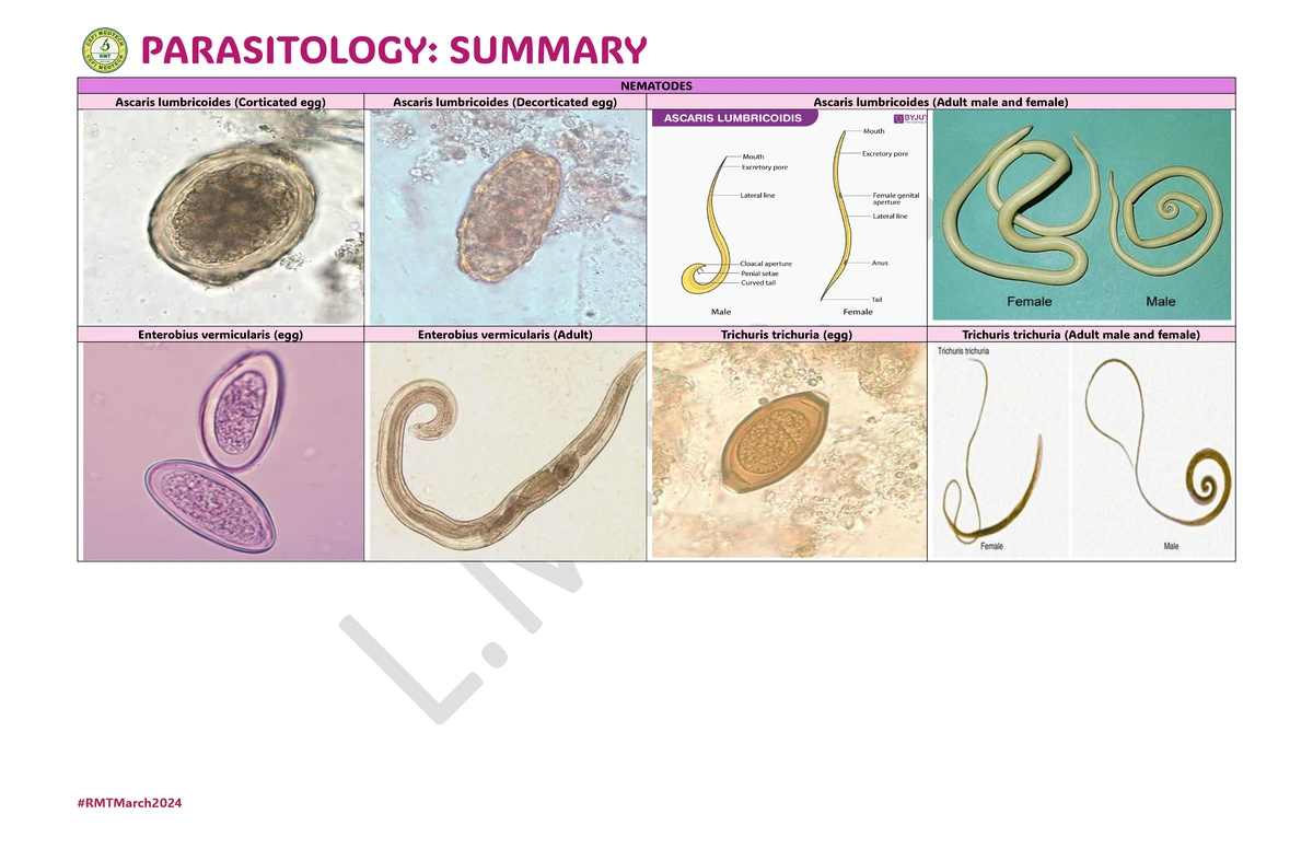 Trematodes and Blood Flukes: Parasitology Lab Study Document HSHSH ...