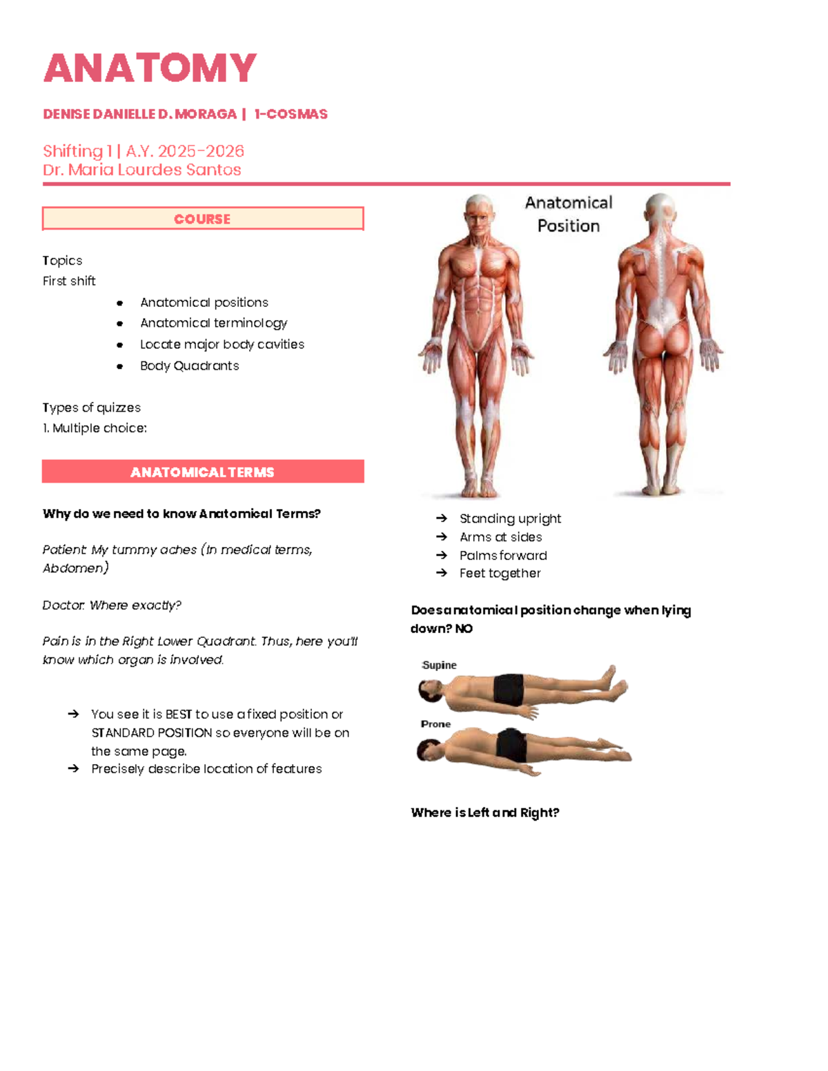 ANATOMY 101: Understanding Anatomical Positions & Terminology - Studocu