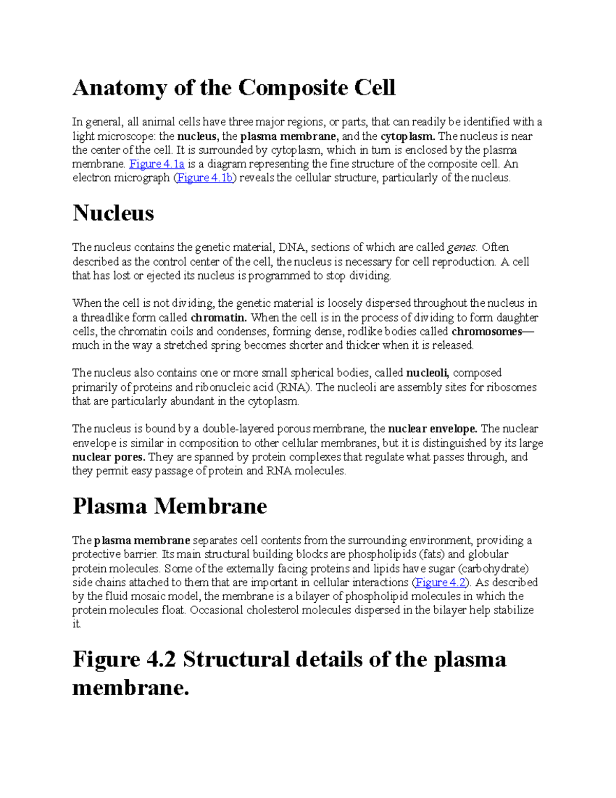 Anatomy of the Composite Cell: Key Structures and Functions - Studocu