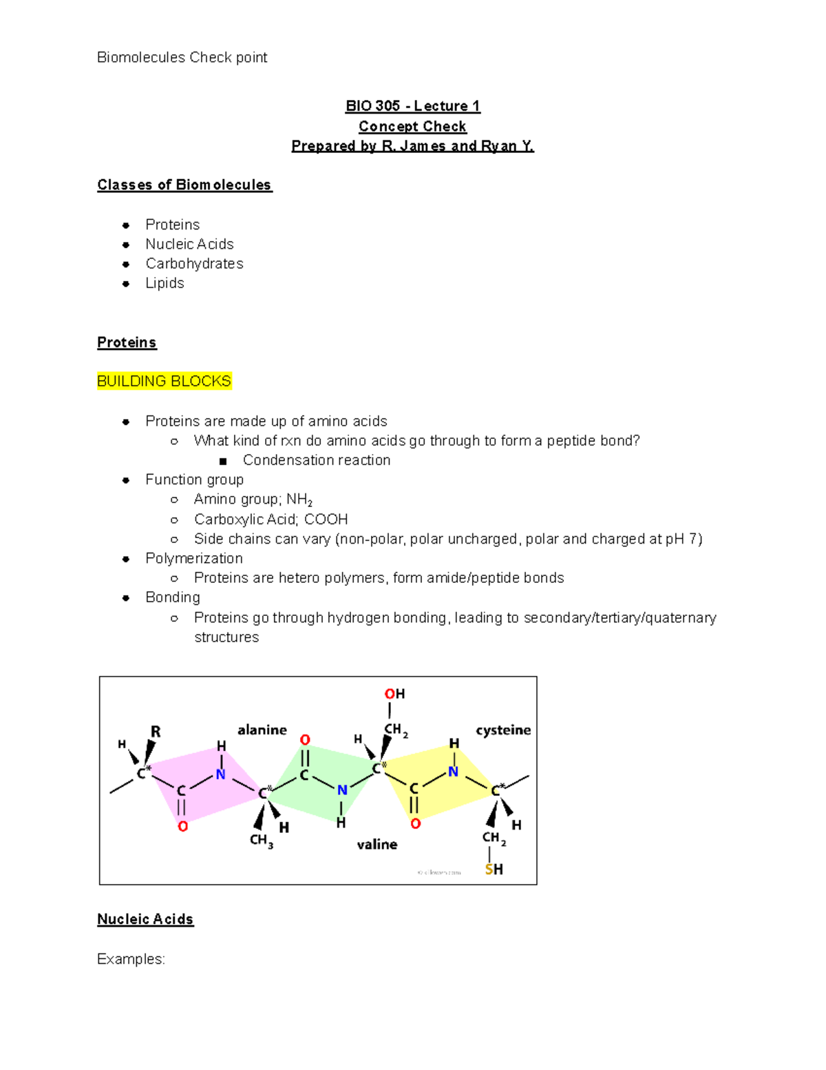 Chapter 1 Biomolecules Concept check - BIO 305 - Lecture 1 Concept ...