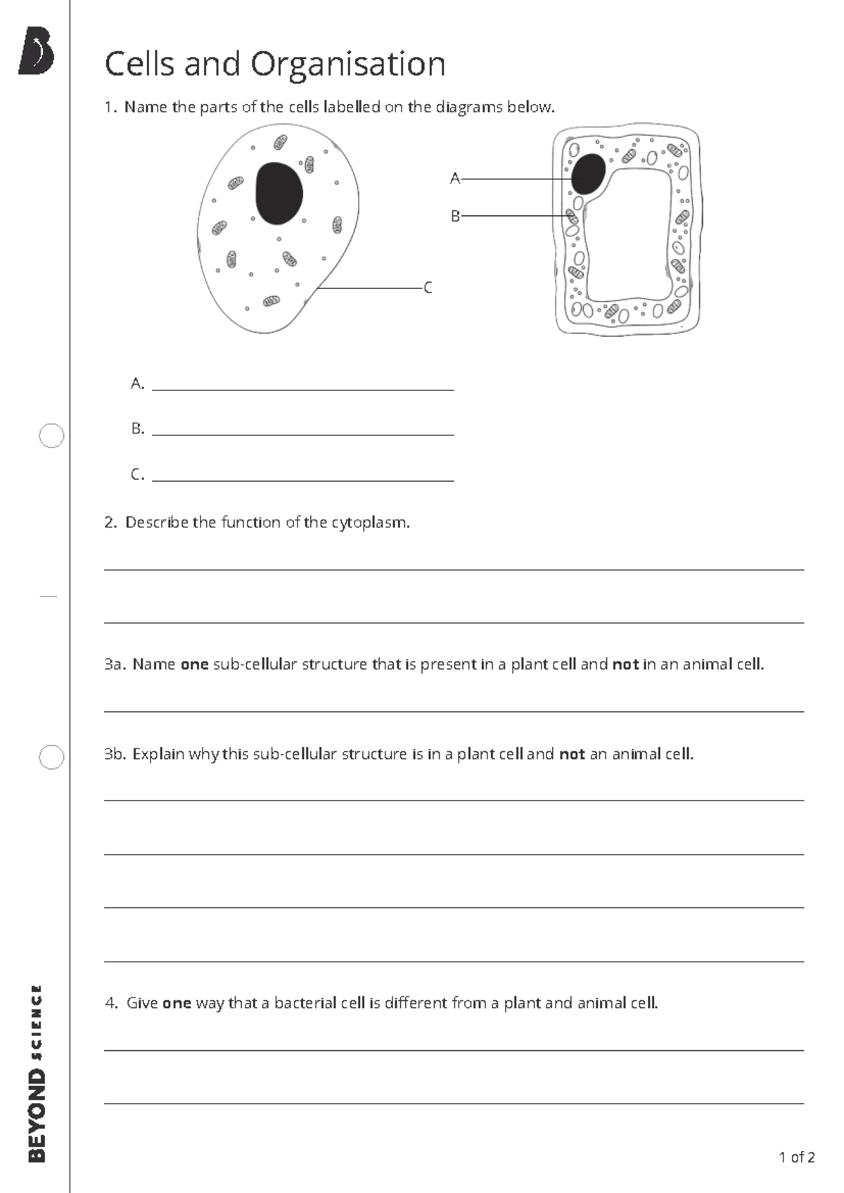 Cells and Organisation Worksheet - BW: Parts and Functions - Studocu