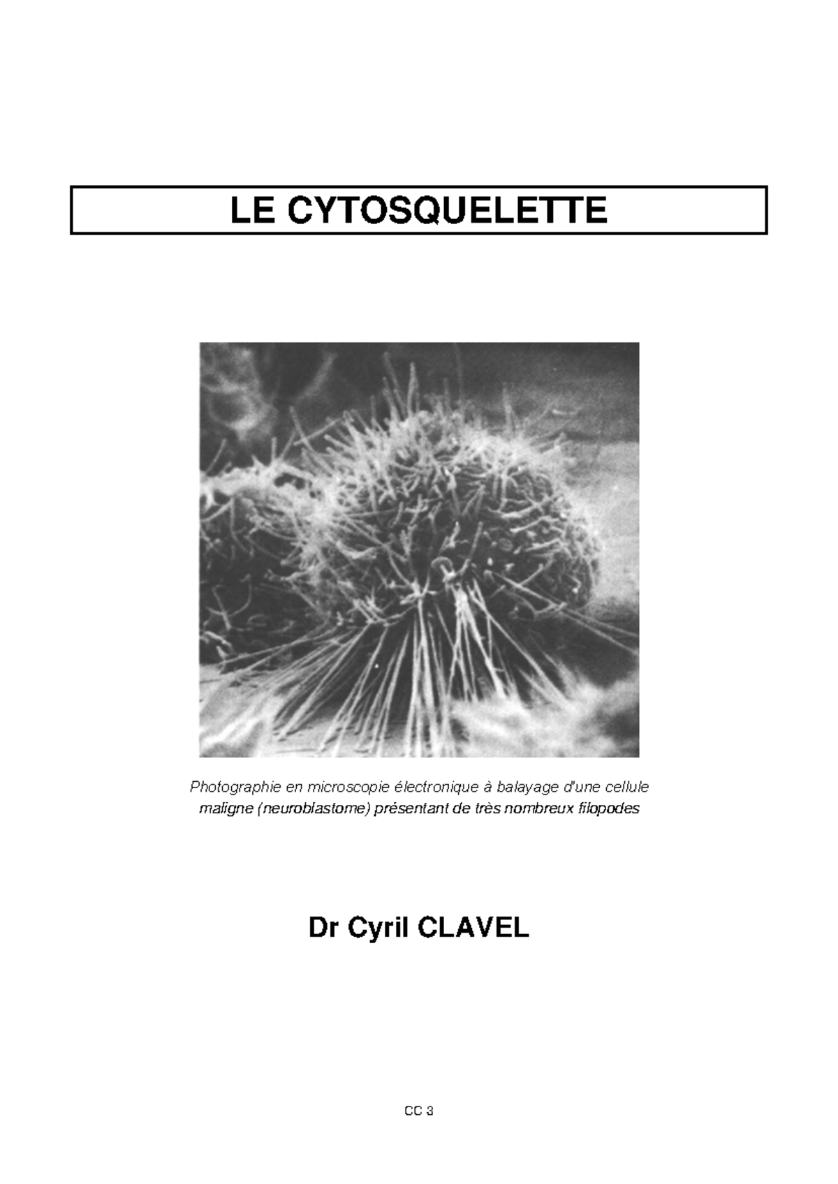Cytosquelette - LE CYTOSQUELETTE Photographie en microscopie ...