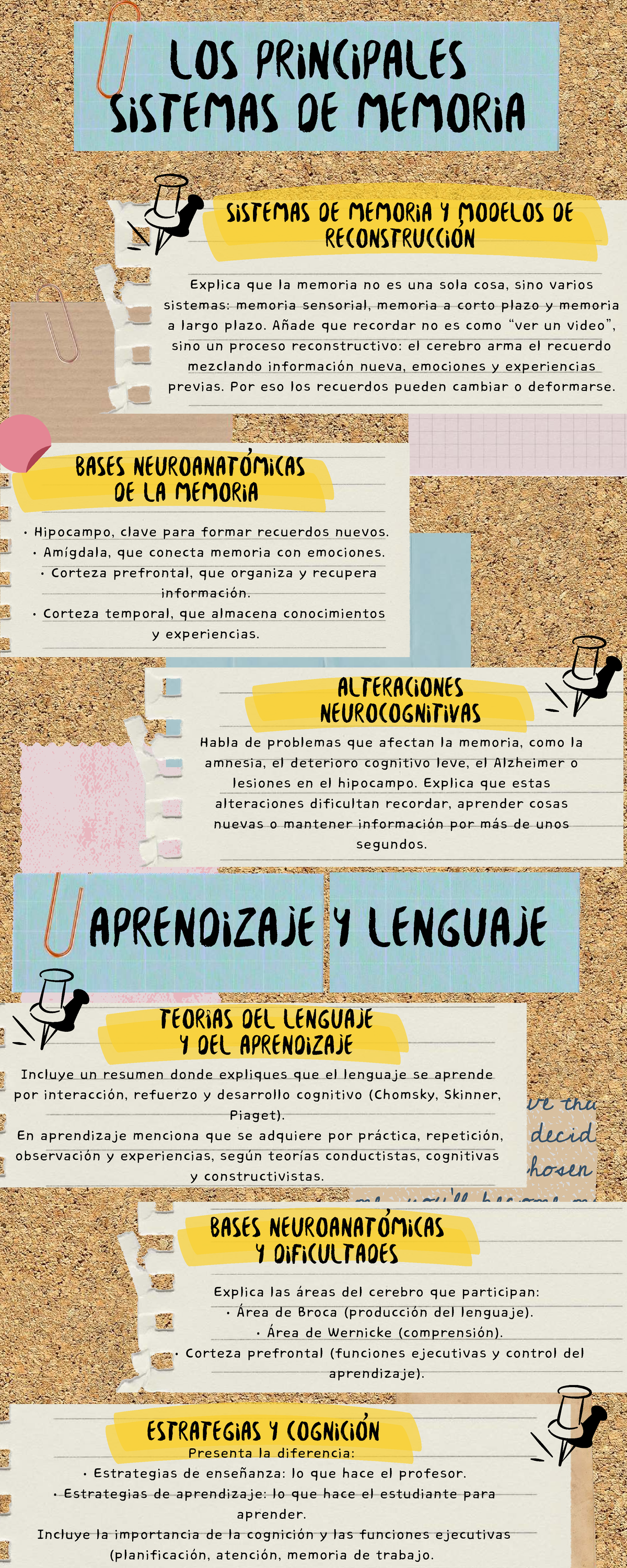 Sistemas de Memoria y Aprendizaje: Bases Neuroanatómicas y Estrategias ...