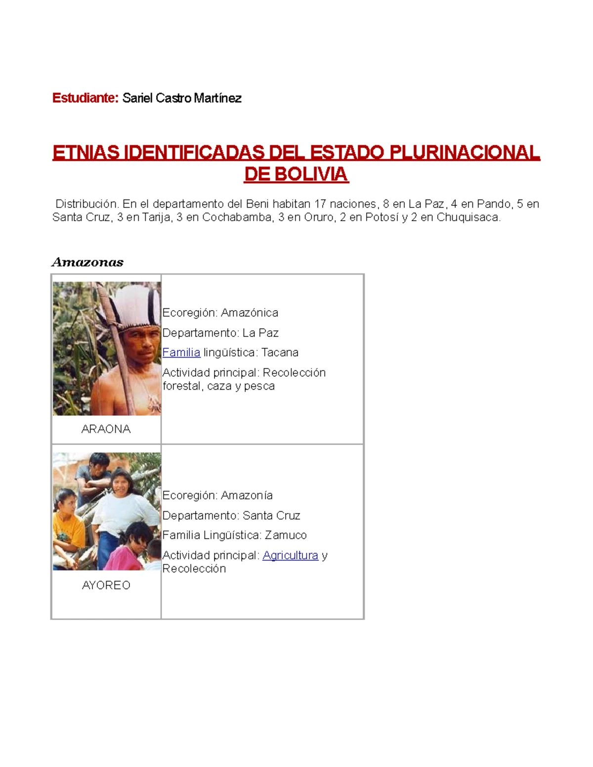 Derecho Procesal Penal DE Bolivia - DERECHO PROCESAL PENAL DE BOLIVIA
