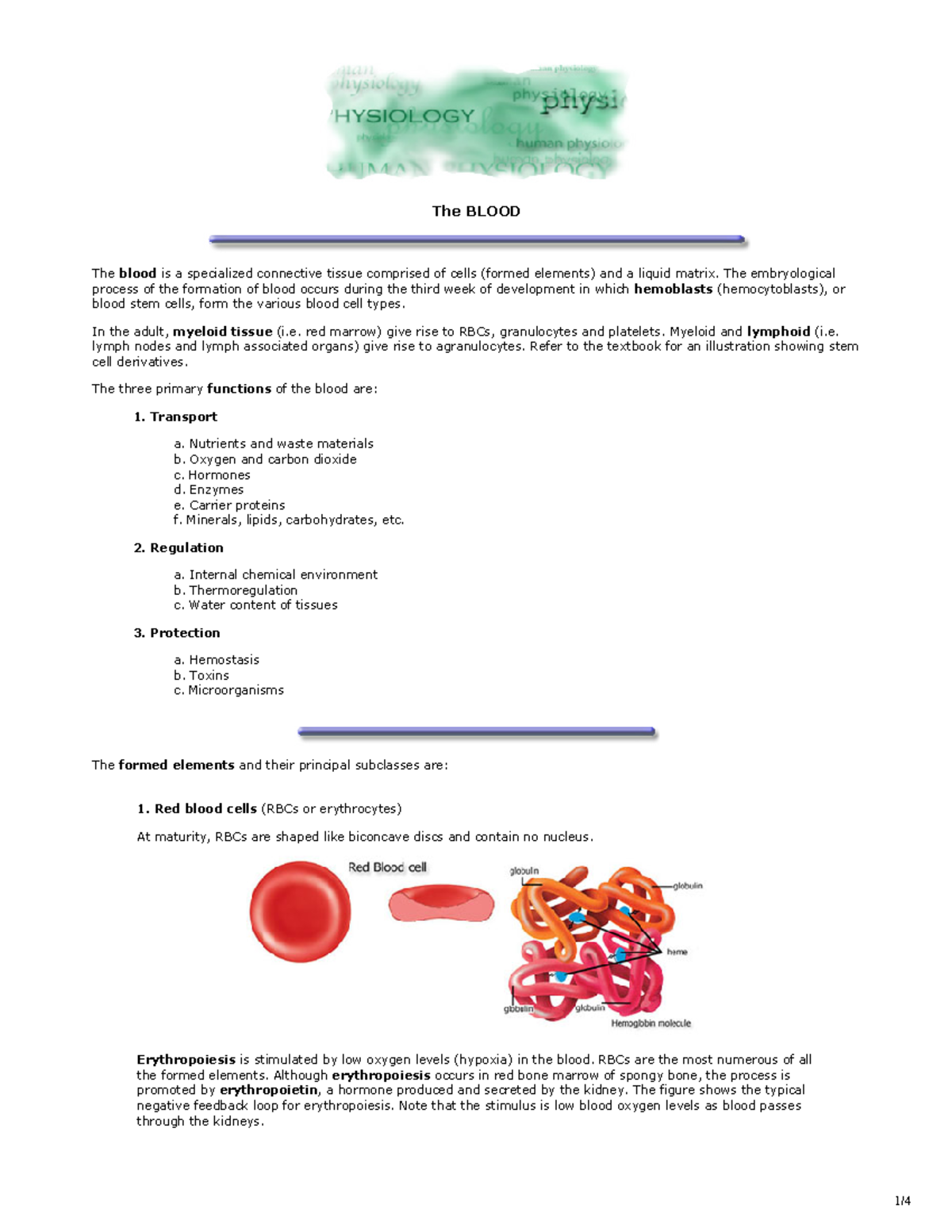 Lecture Notes on Blood Composition and Functions - Studocu