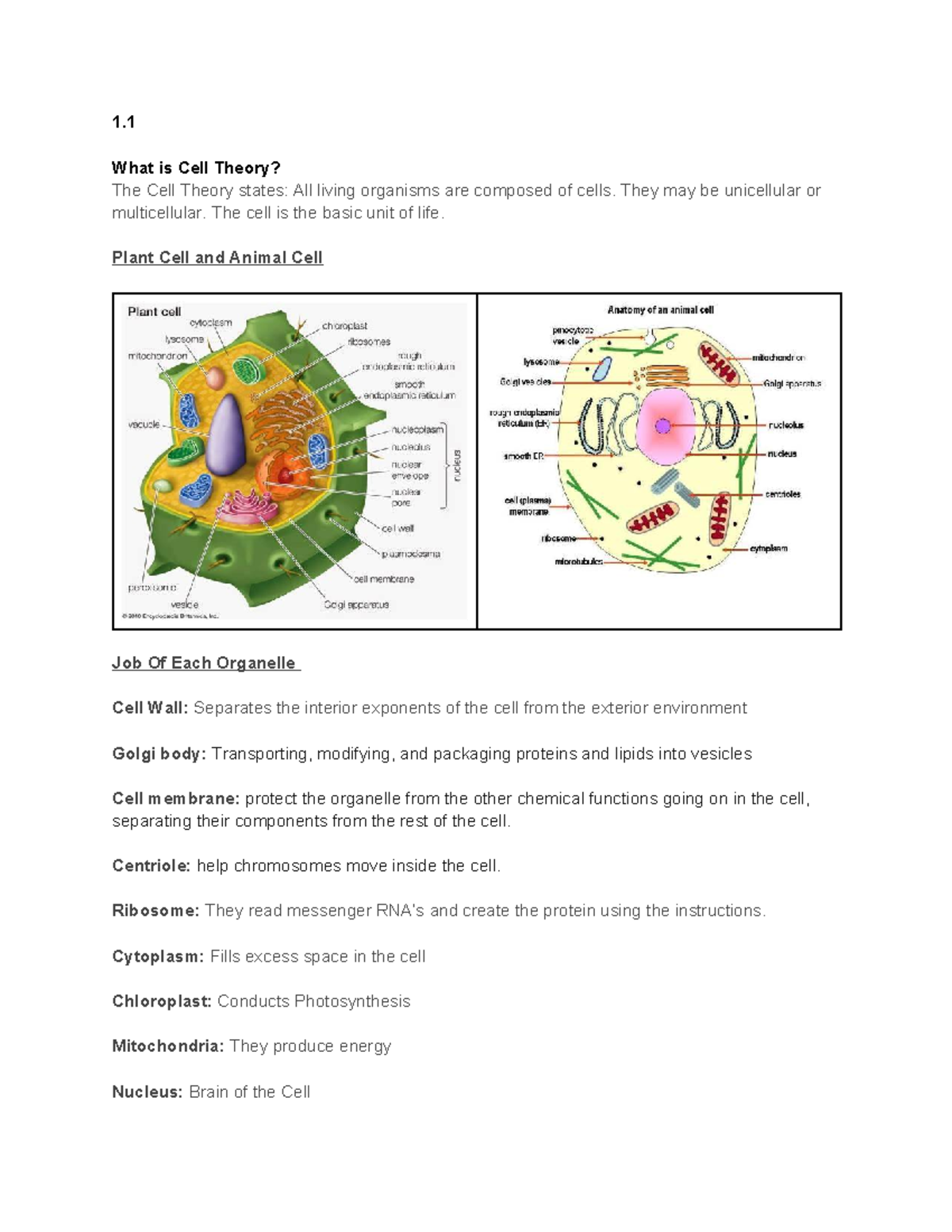 Bio 101: Cell Theory and Organelles Test Review Notes - Studocu