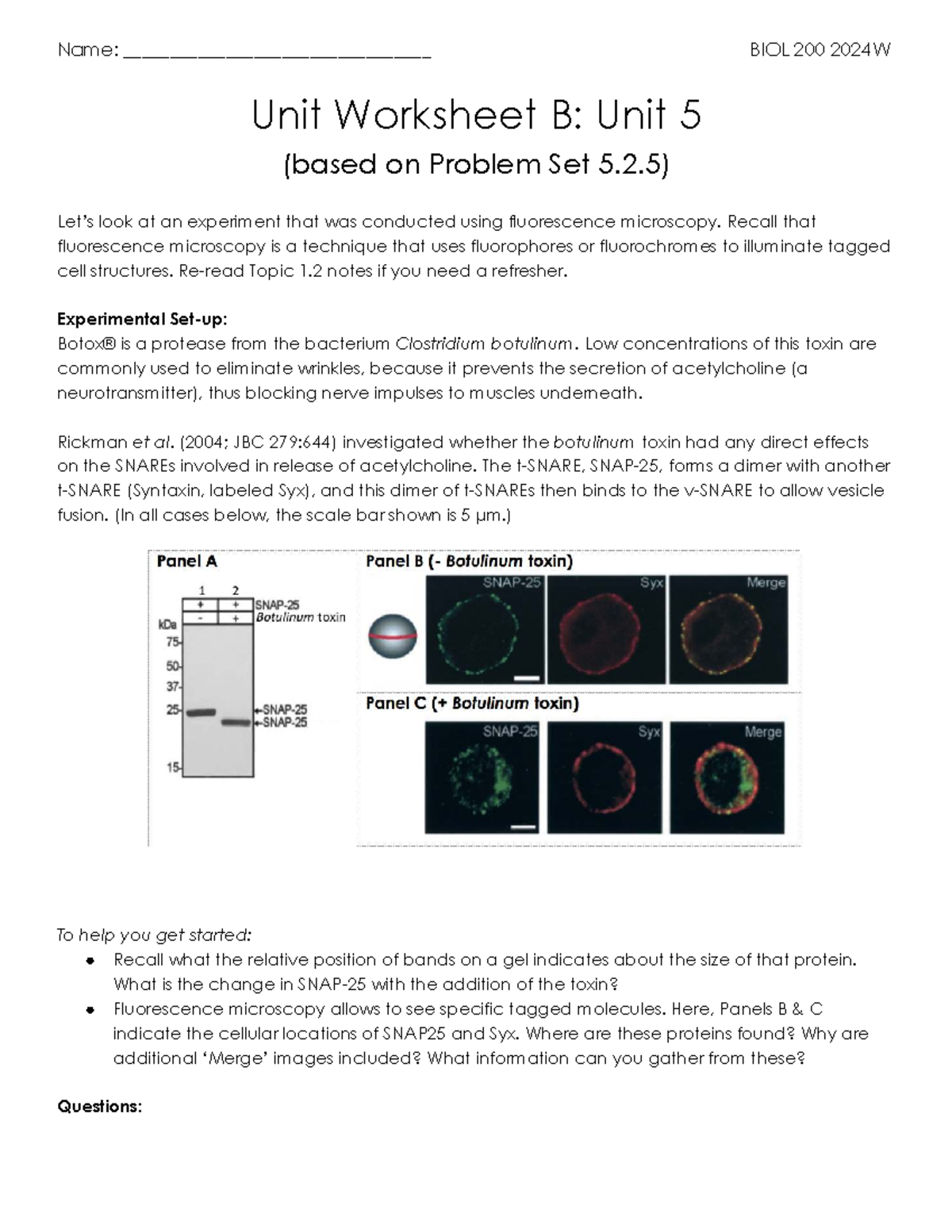 Unit worksheet B: BIOL 200 2024W fluorescence microscopy experiment ...