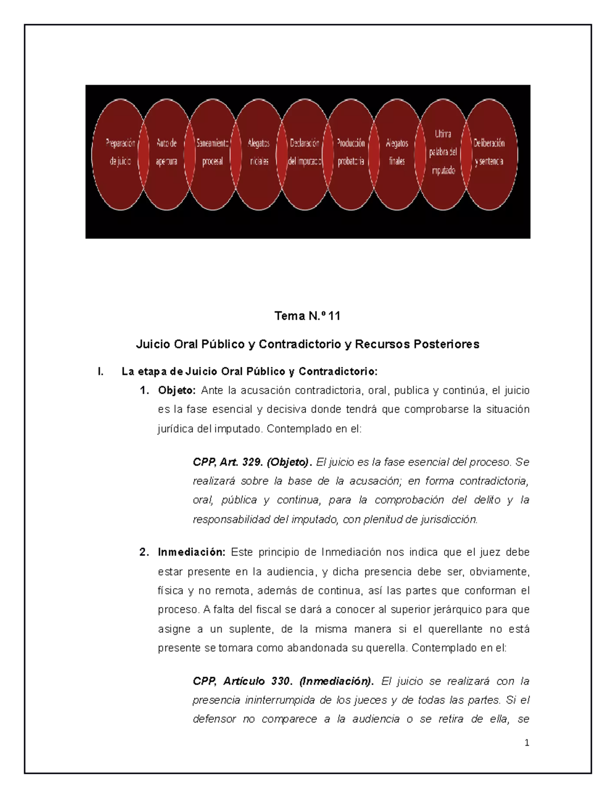 TP Juicio Oral Público y Contradictorio: Etapas y Recursos - Studocu