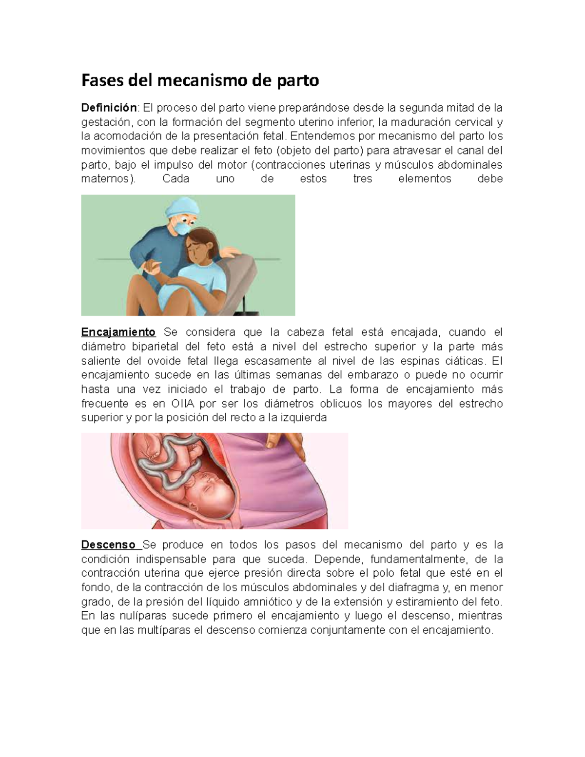 Etapas Del Parto Fases Del Parto Trabajo De Parto Images