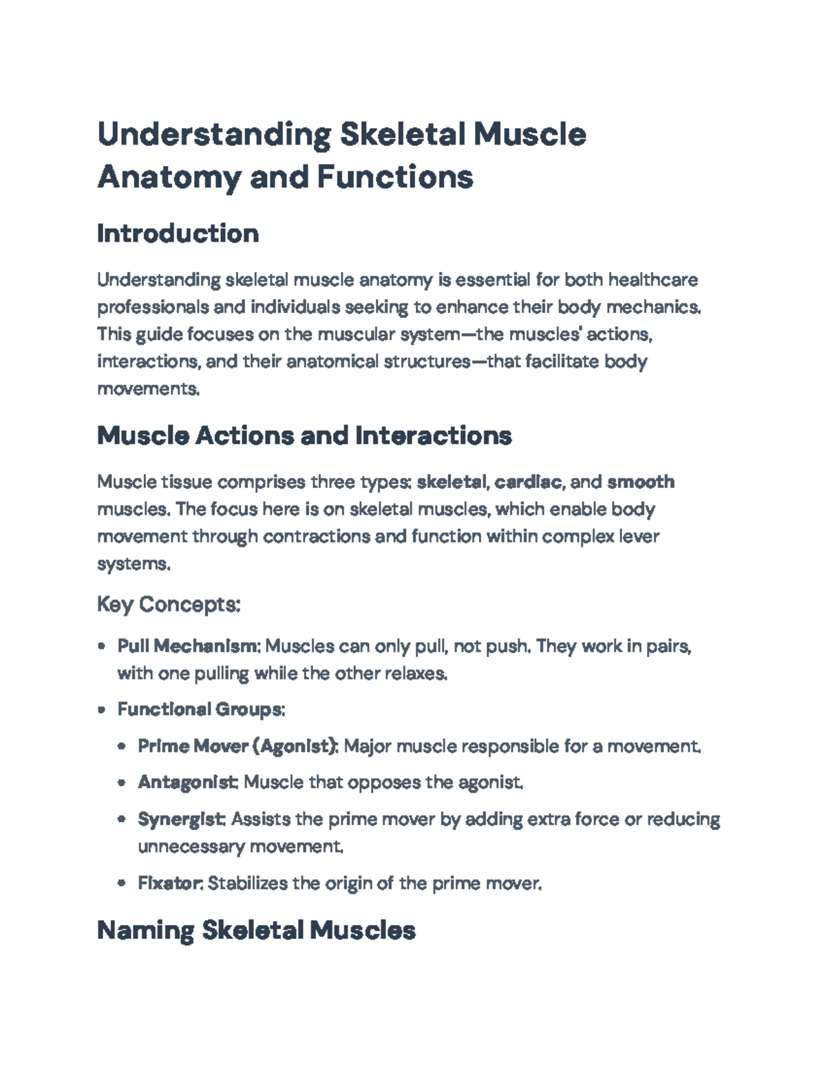 Skeletal Muscle Anatomy and Functions: A Comprehensive Guide ...