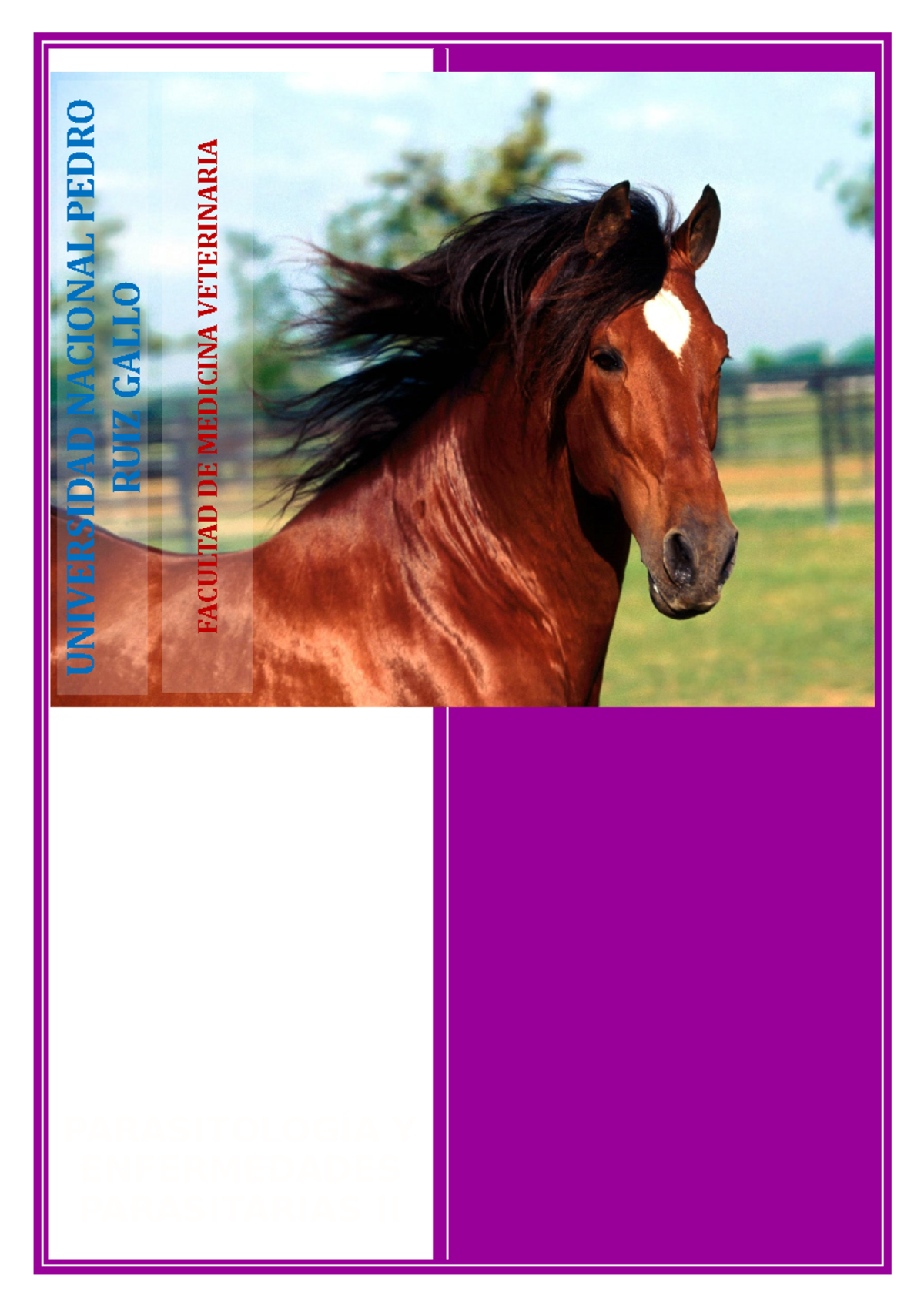 Dictyocaulus y Bronquitis Verminosa Equina: Estudio Parasitario II - Document Preview