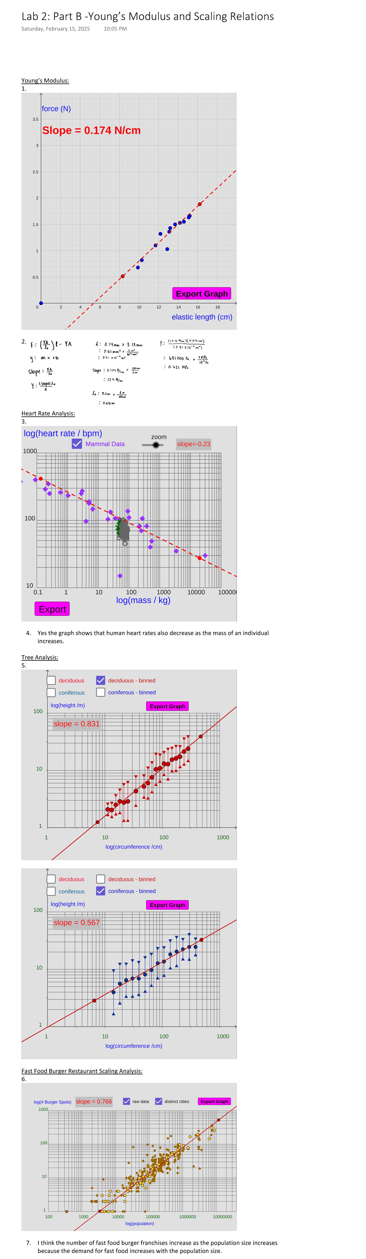 Lab 2 Part B -Young’s Modulus and Scaling Relations - Young’s Modulus ...