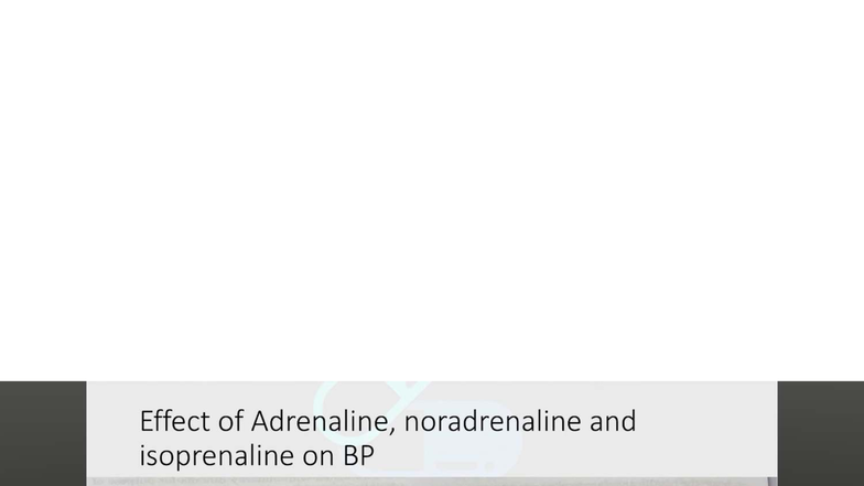 Effect of Adr, NA, ISO on Blood Pressure in Dogs - Essay Notes - Studocu