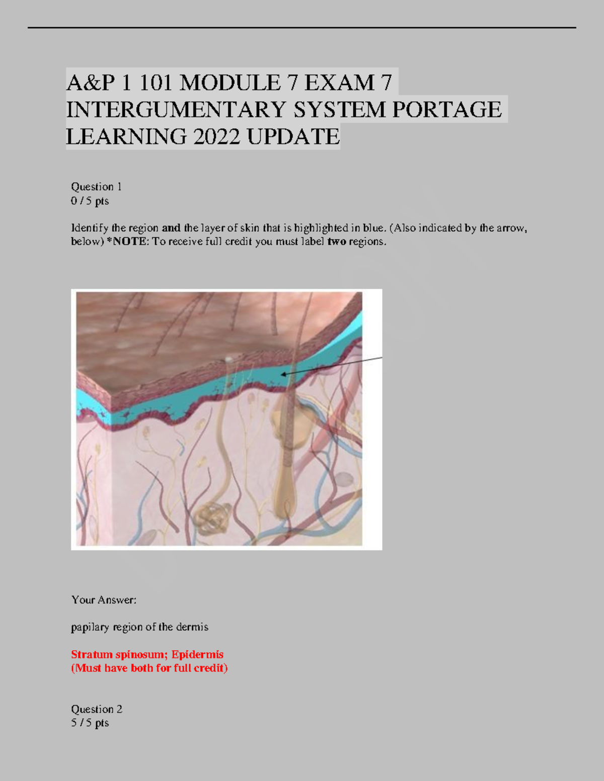 A&P 1 101 Module 7 Exam 7: Integumentary System Overview - Studocu