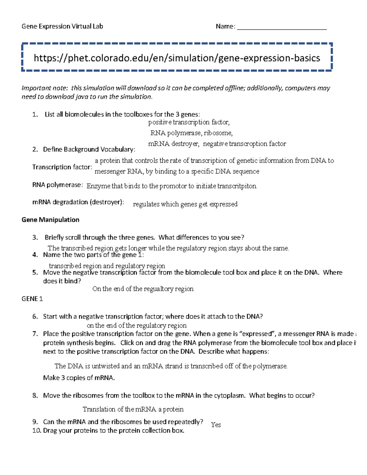 Gene Regulation Virtual Lab (Biol 6.5): Summary and Analysis Guide ...