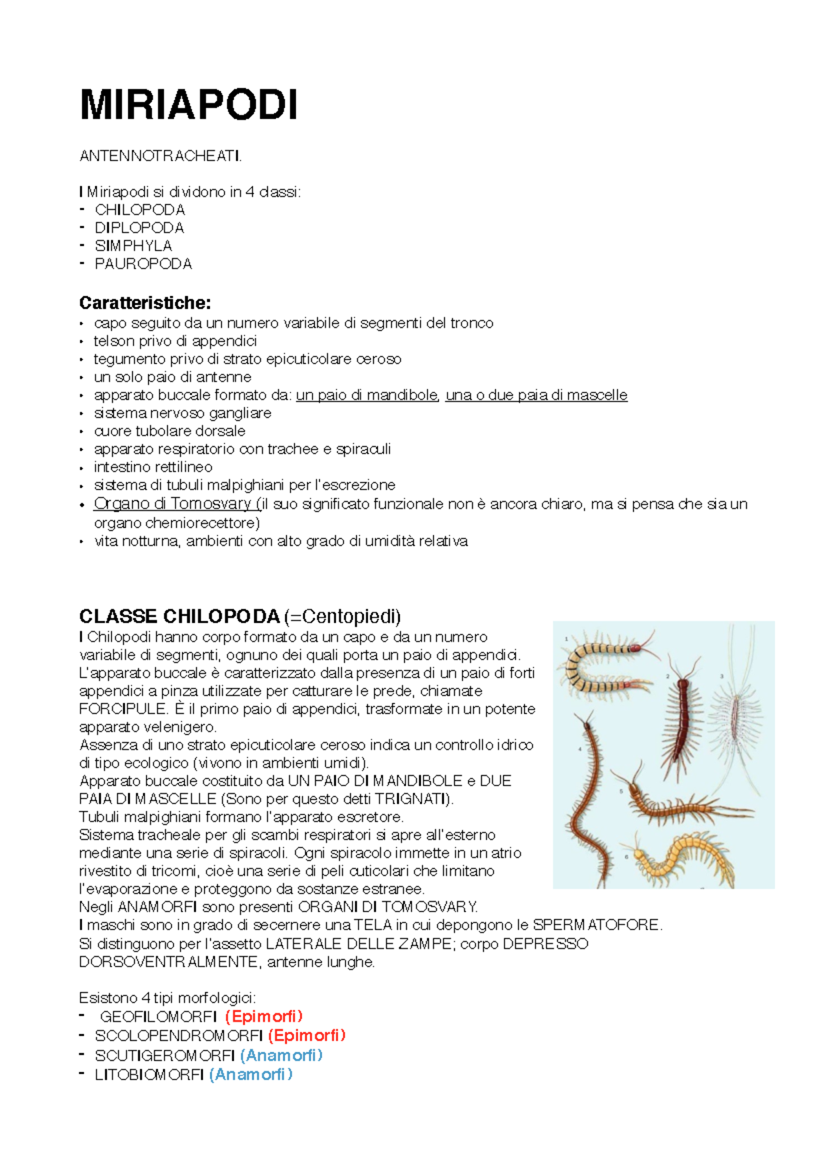 Miriapodi: Appunti di Zoologia per Corso di Scienze Naturali - Studocu
